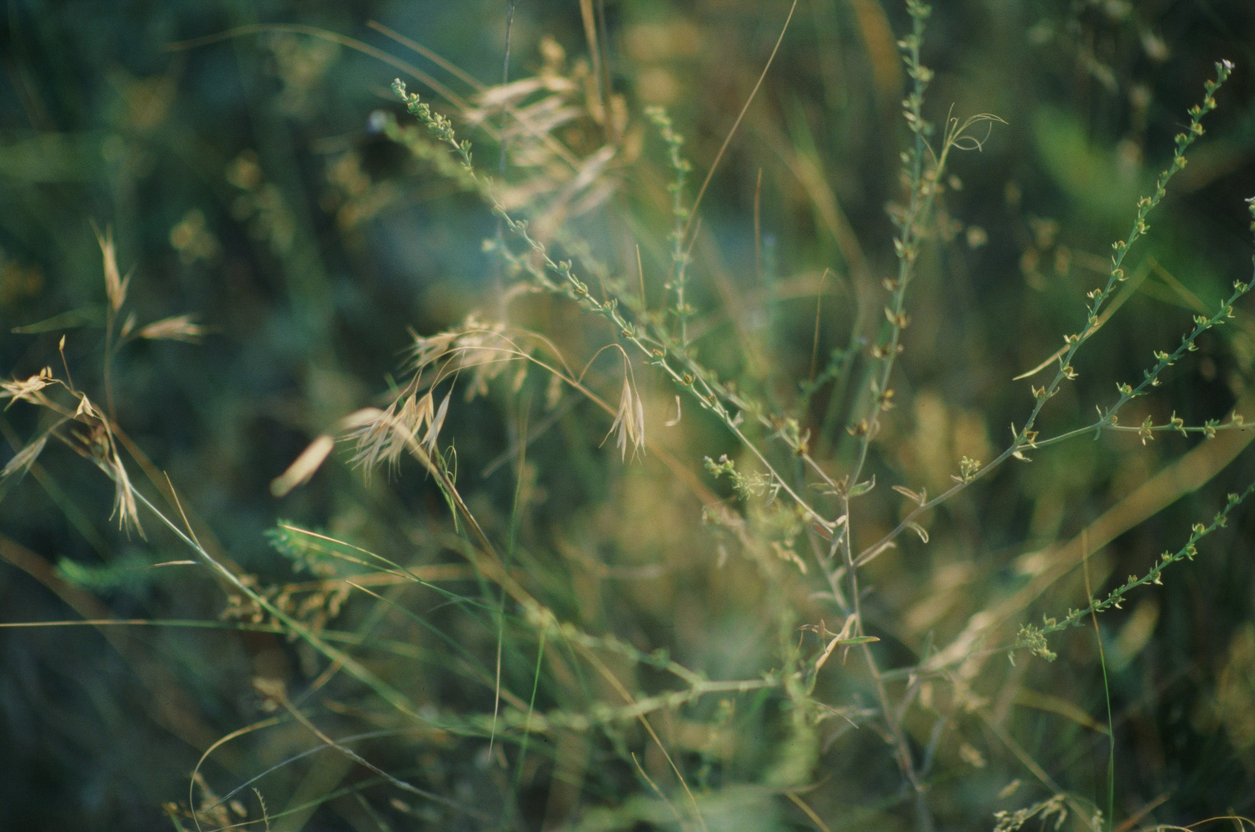 Dig it // ukraine, crimea VII. EVER EXPOSED