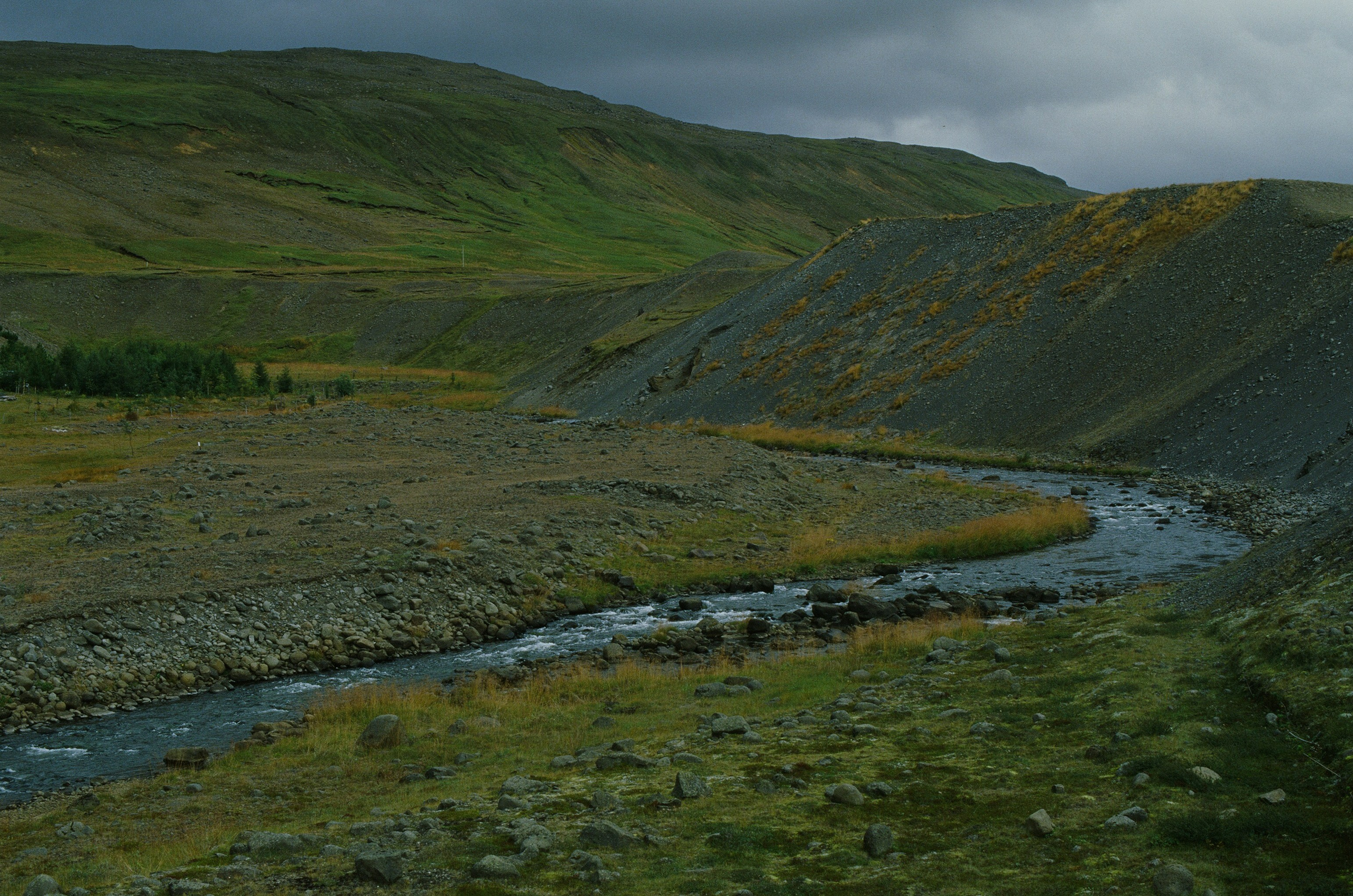 Vor i vaglaskogi // iceland, austurleið. EVER EXPOSED