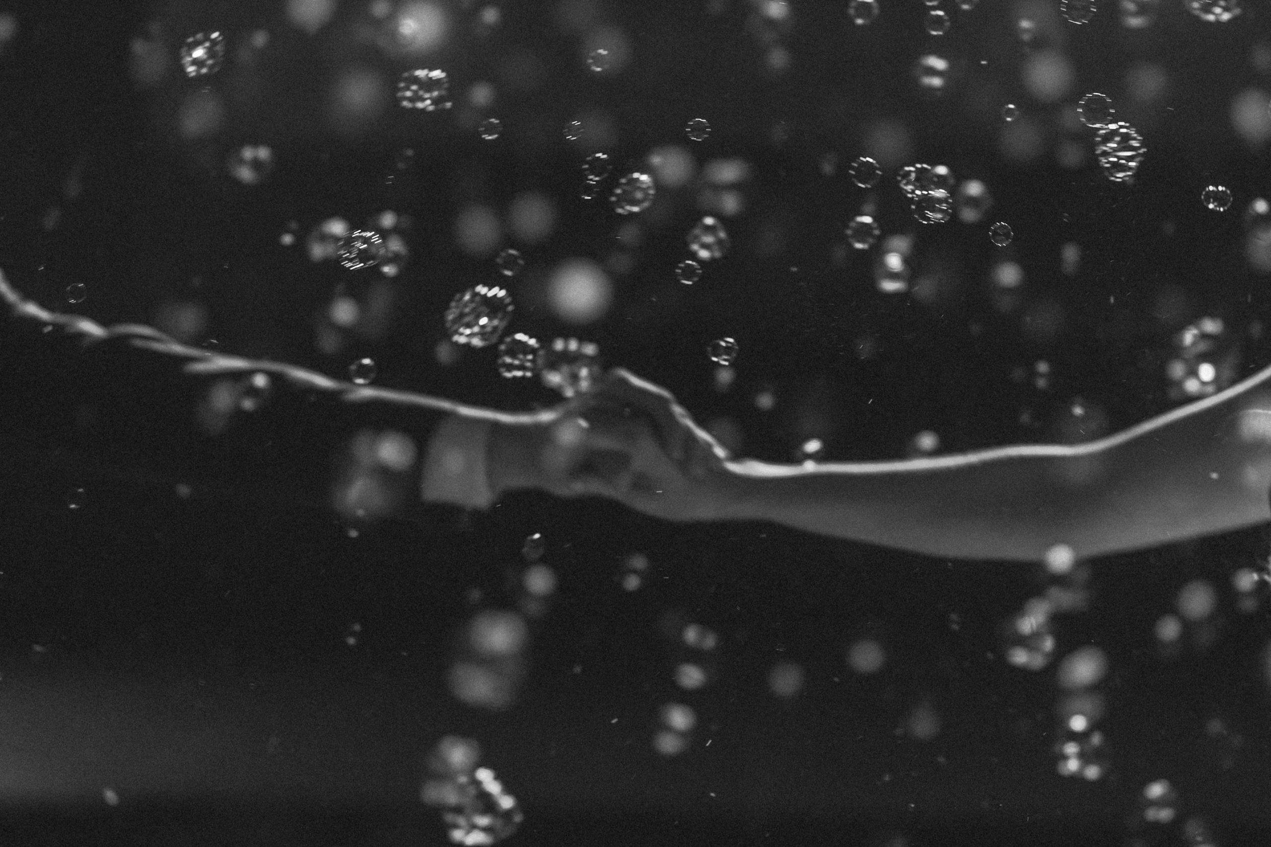 Полина и Михаил. Коваленко Алена │ Фотограф