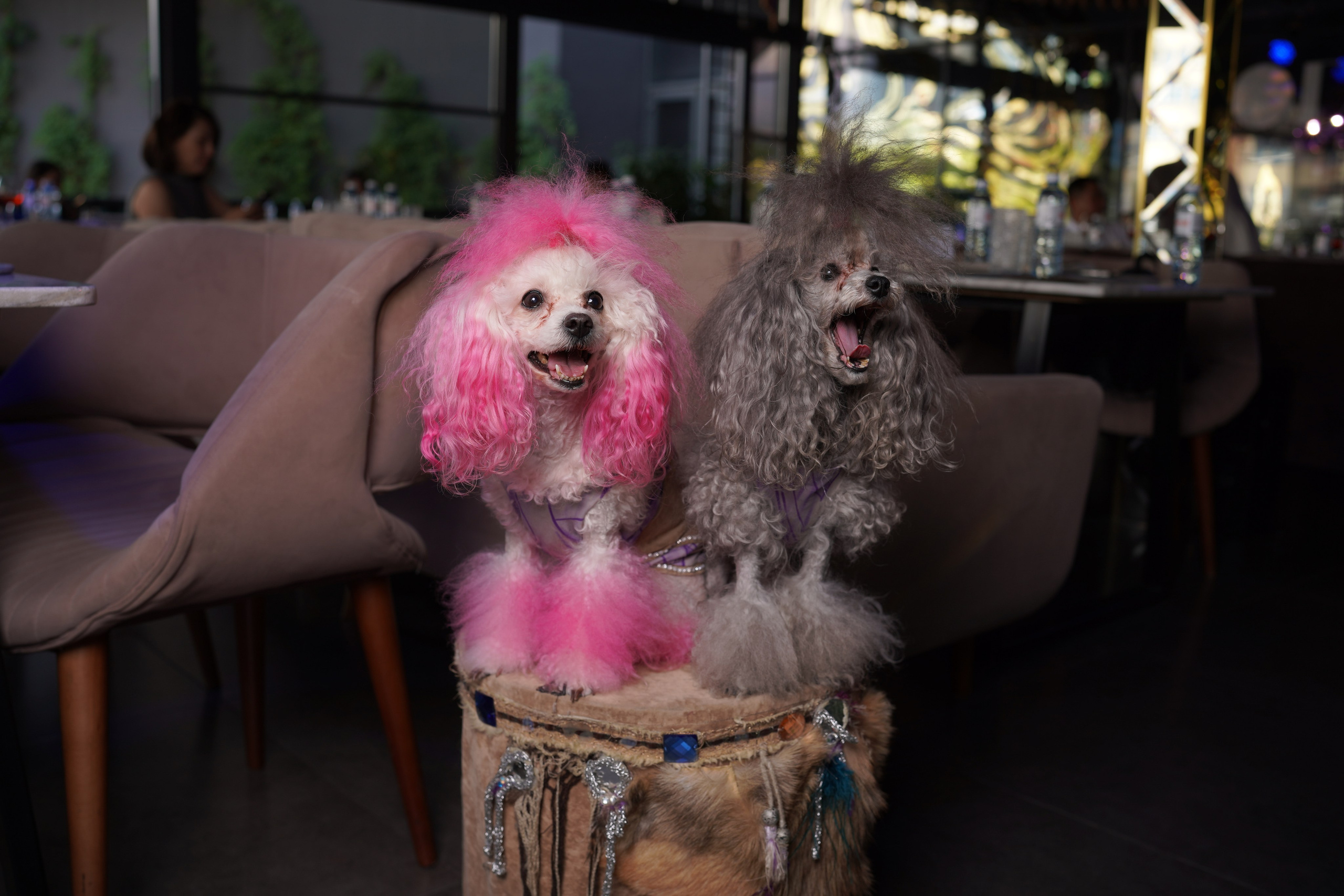 Summer Brunch — Ресторан MOOD