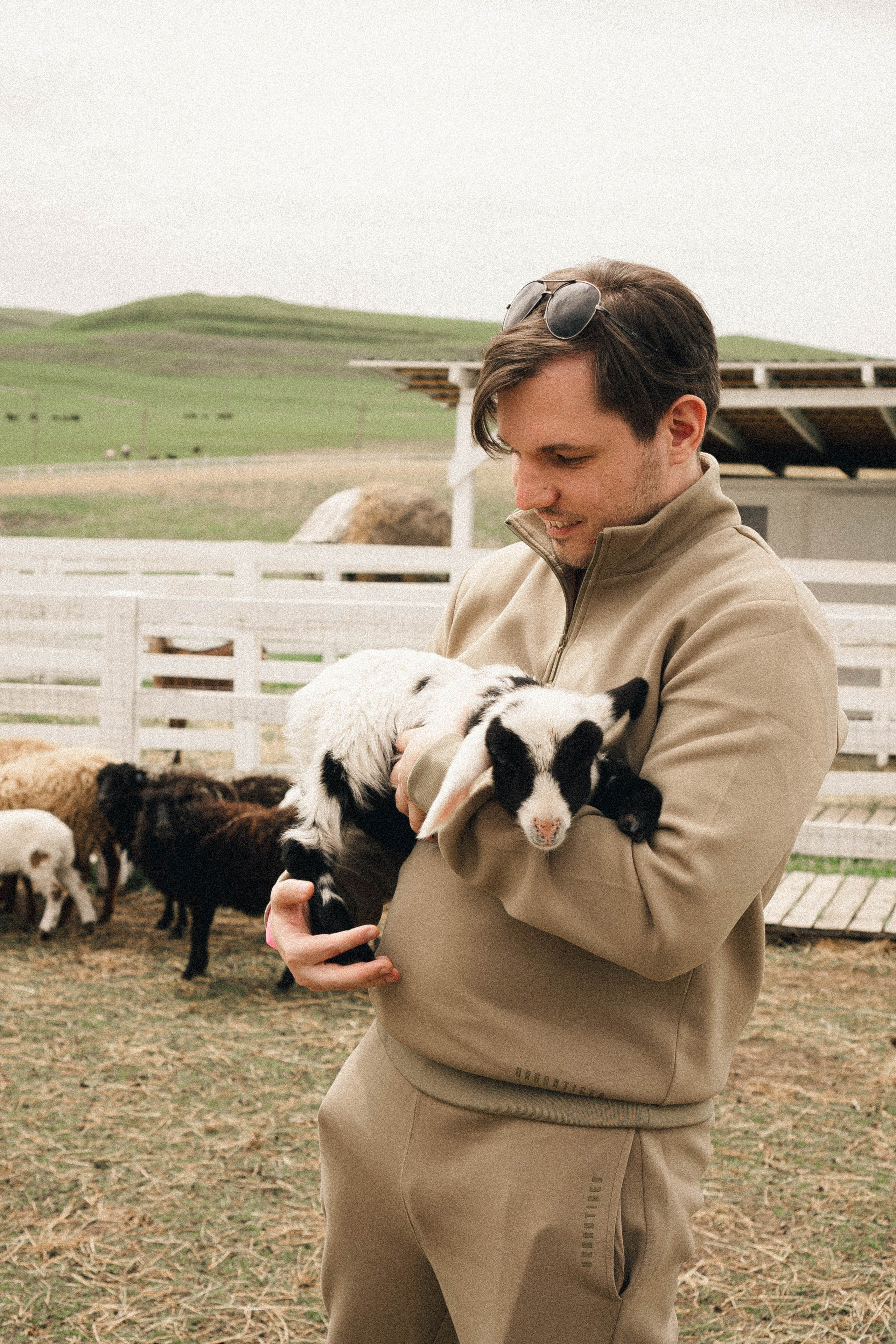 Ферма Альпак. Профессиональный фотограф, Санкт-Петербург — Виктория Богомолова