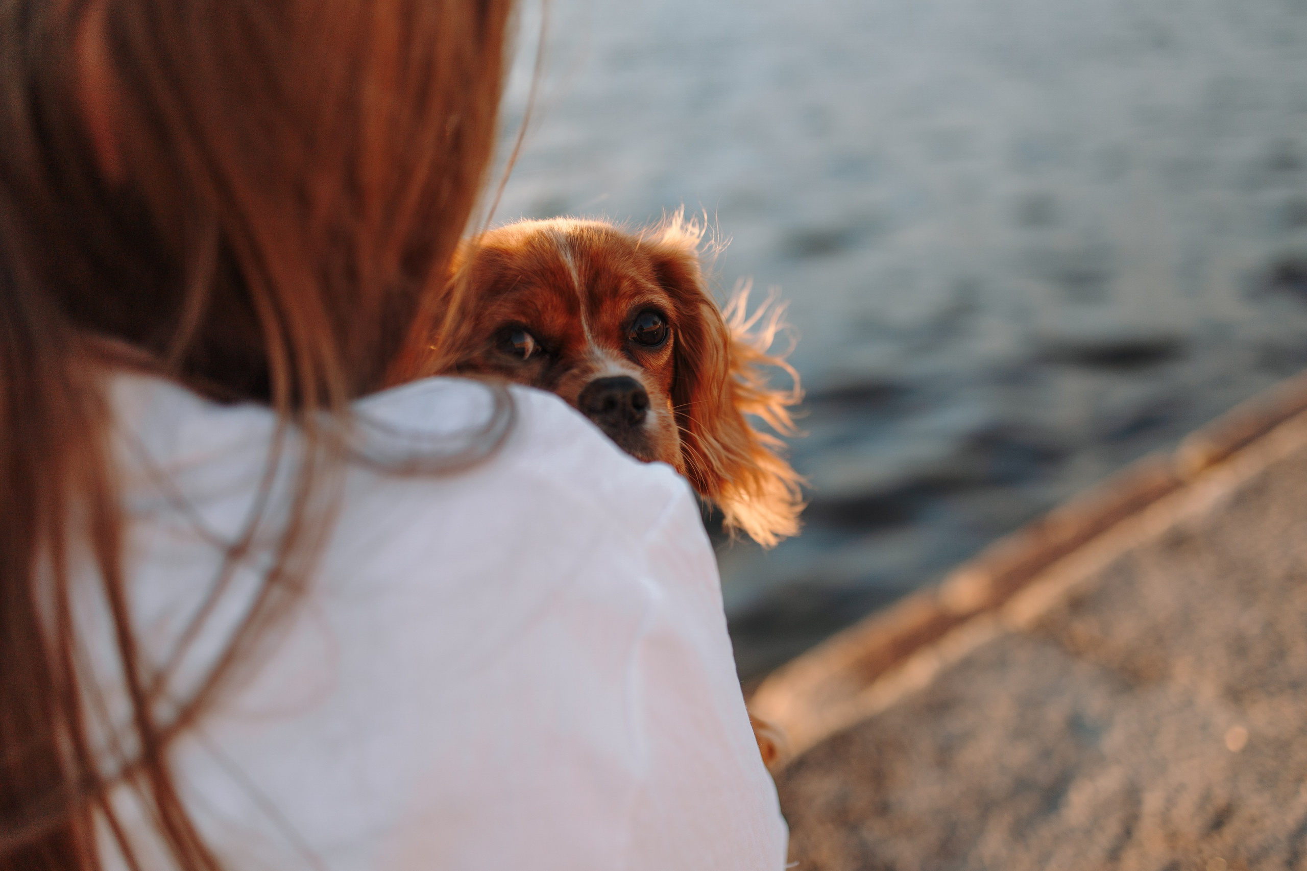 Аня, Стеша и Степан. Фотограф — Анималист | Санкт-Петербург