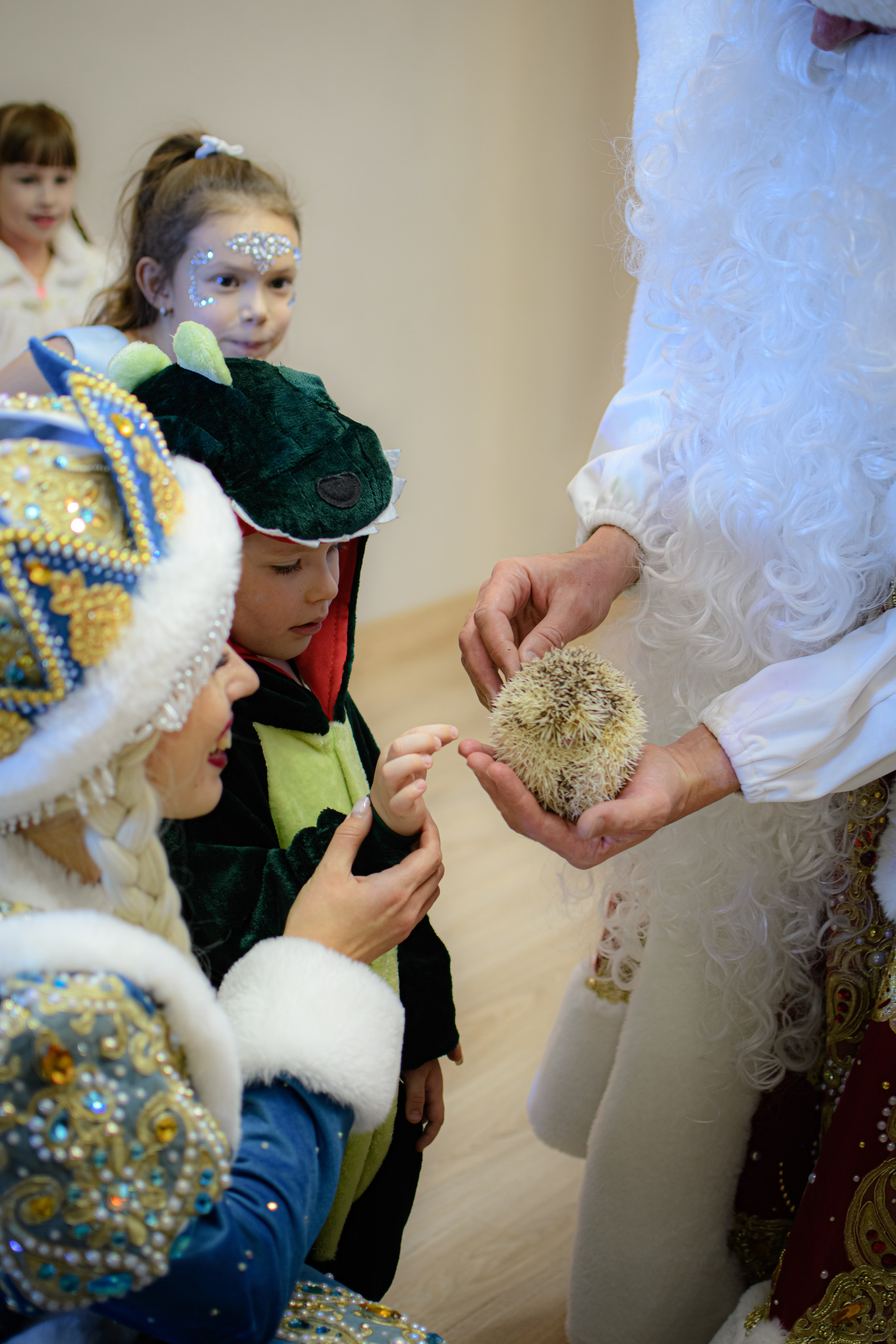 HAPPY NEW YEAR. Photokarish