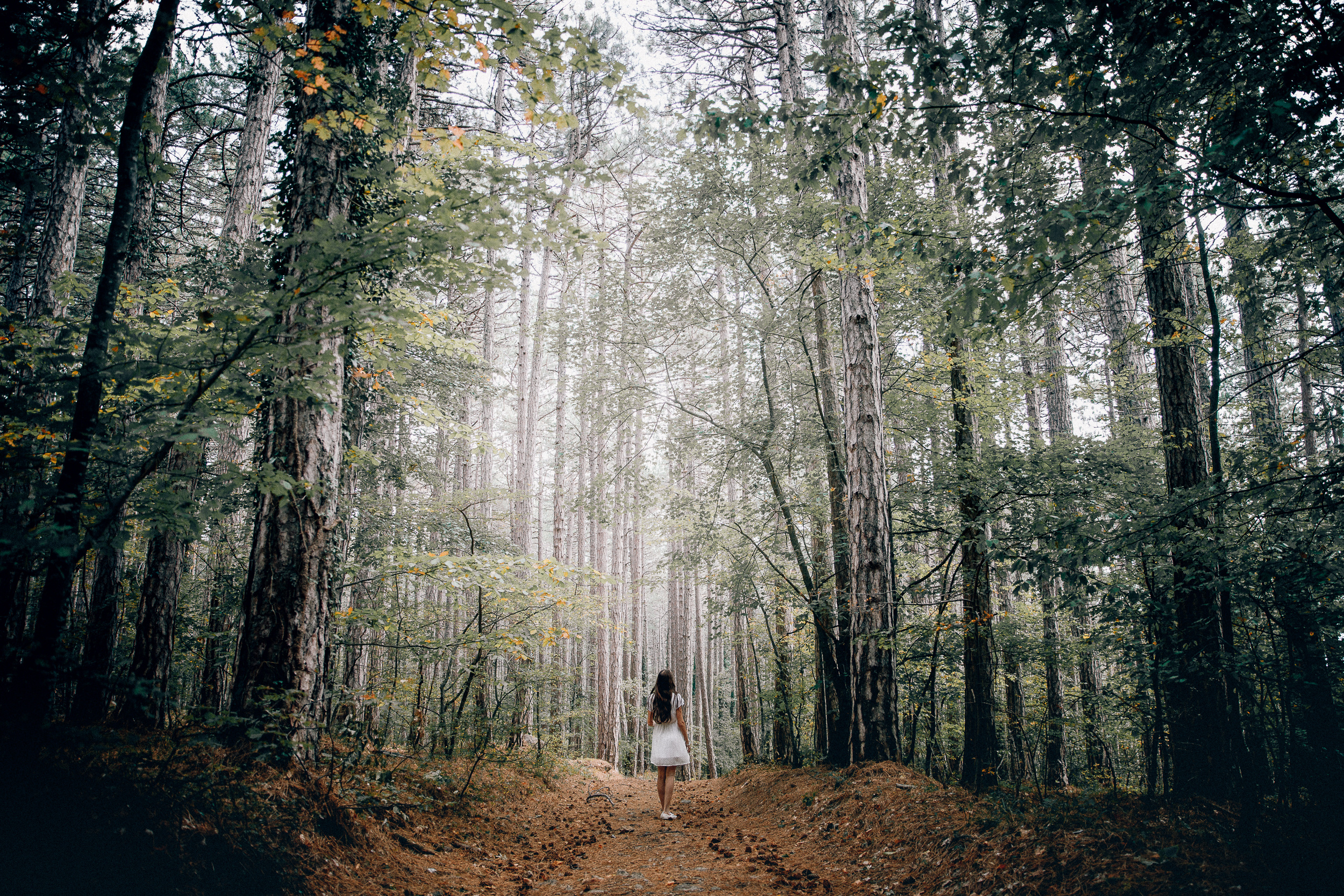 Путешествие в Крым. Фотограф в Ростове-на-Дону