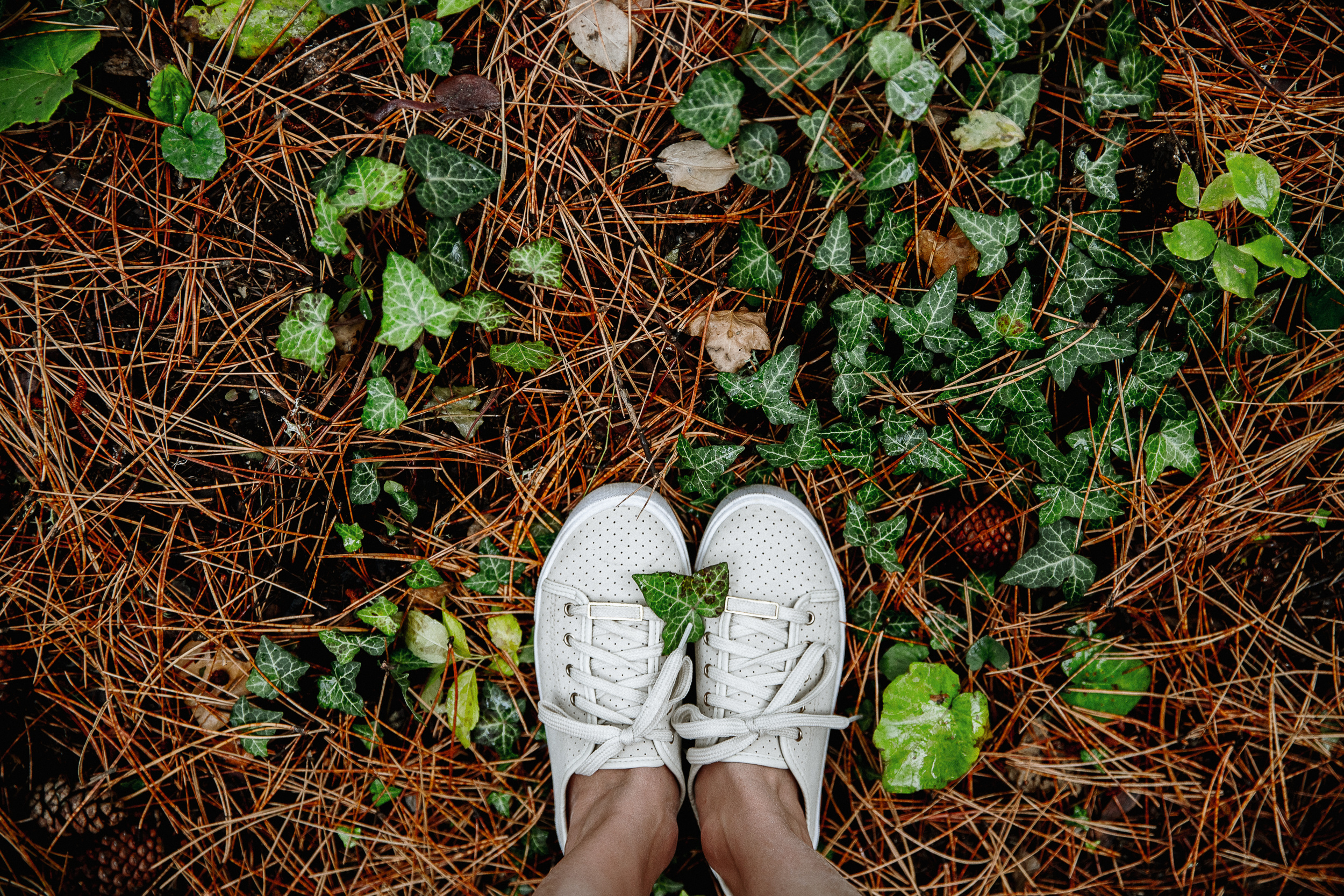 Путешествие в Крым. Фотограф в Ростове-на-Дону