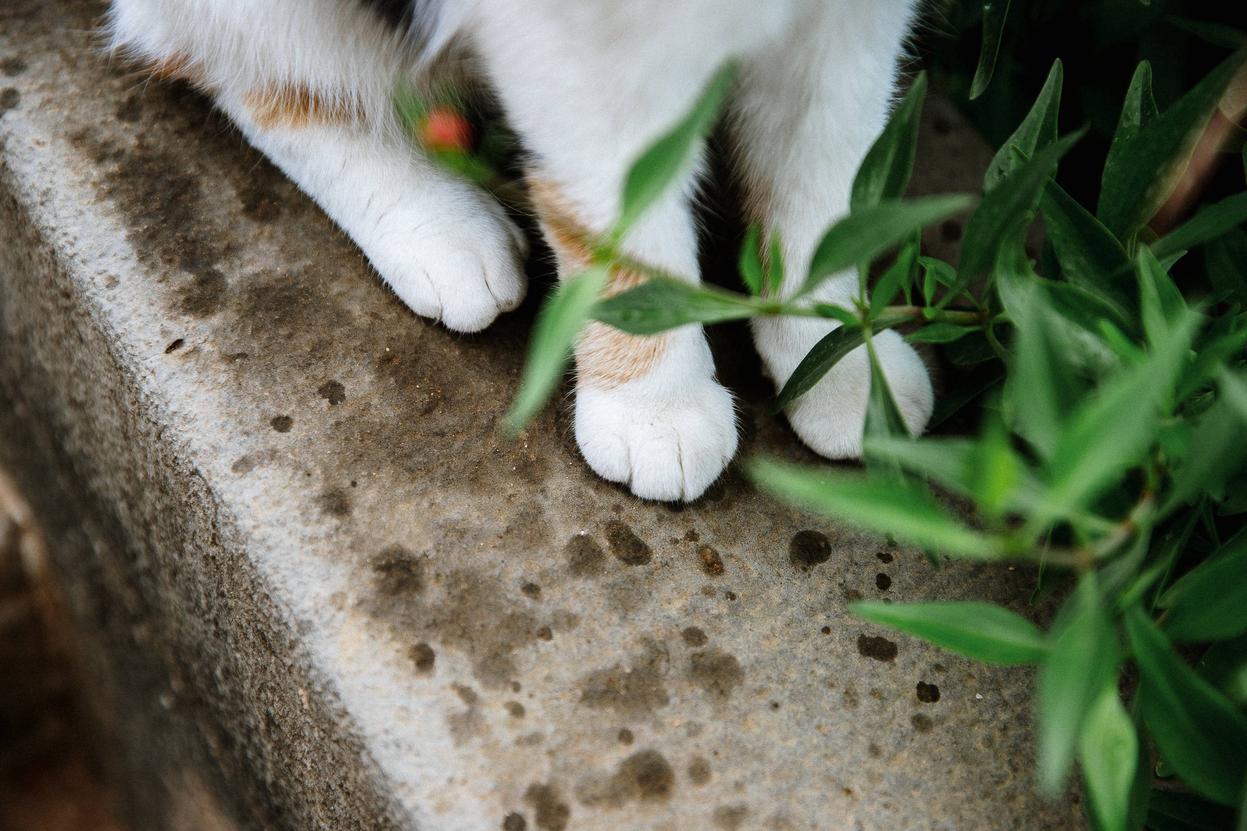 Путешествие в Крым. Фотограф в Ростове-на-Дону