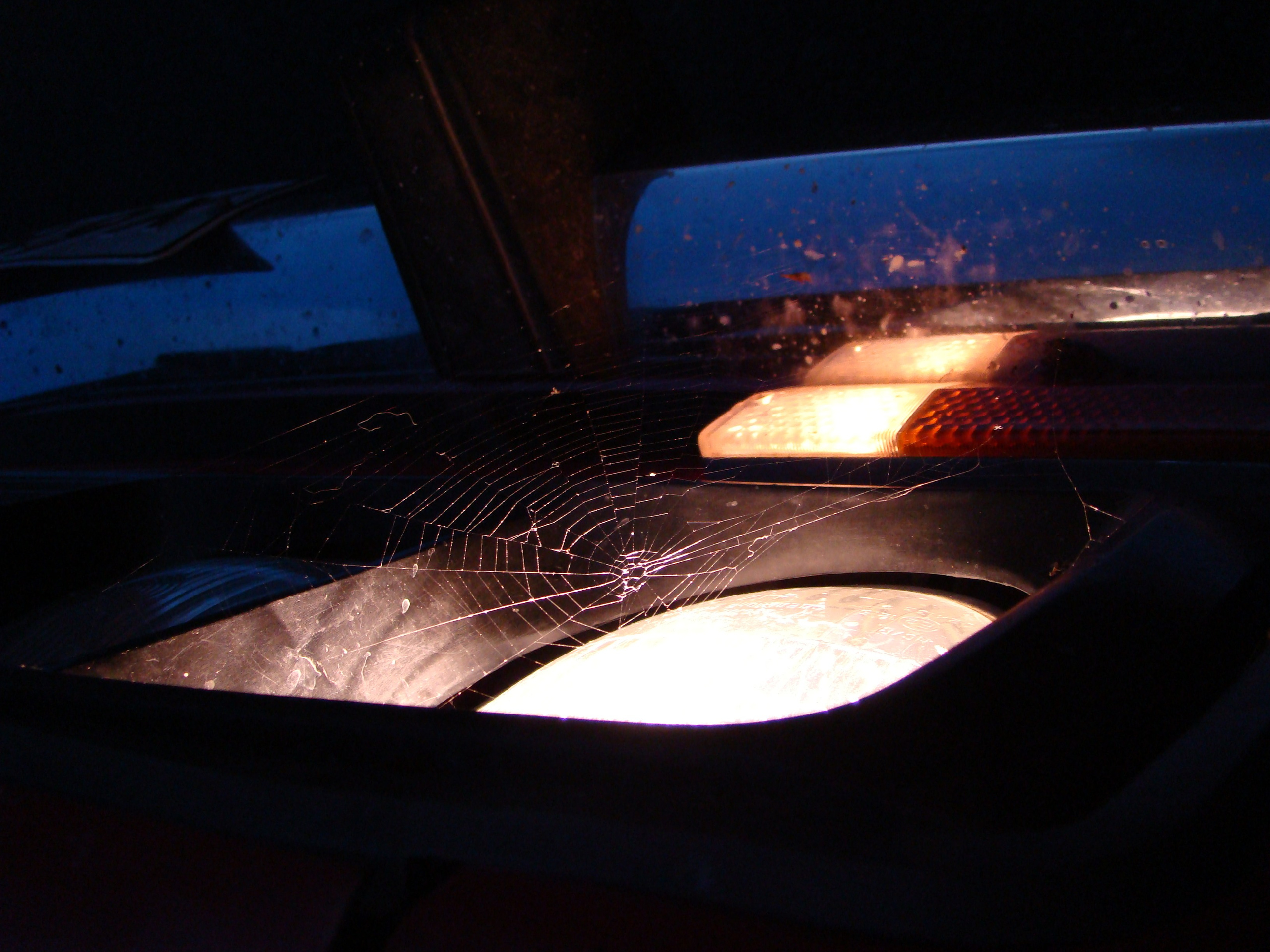 Кабардинка (фото Зевиных) 25.06-24.07.2008. Семейный, Свадебный фотограф СПБ Питер— Романова Екатерина