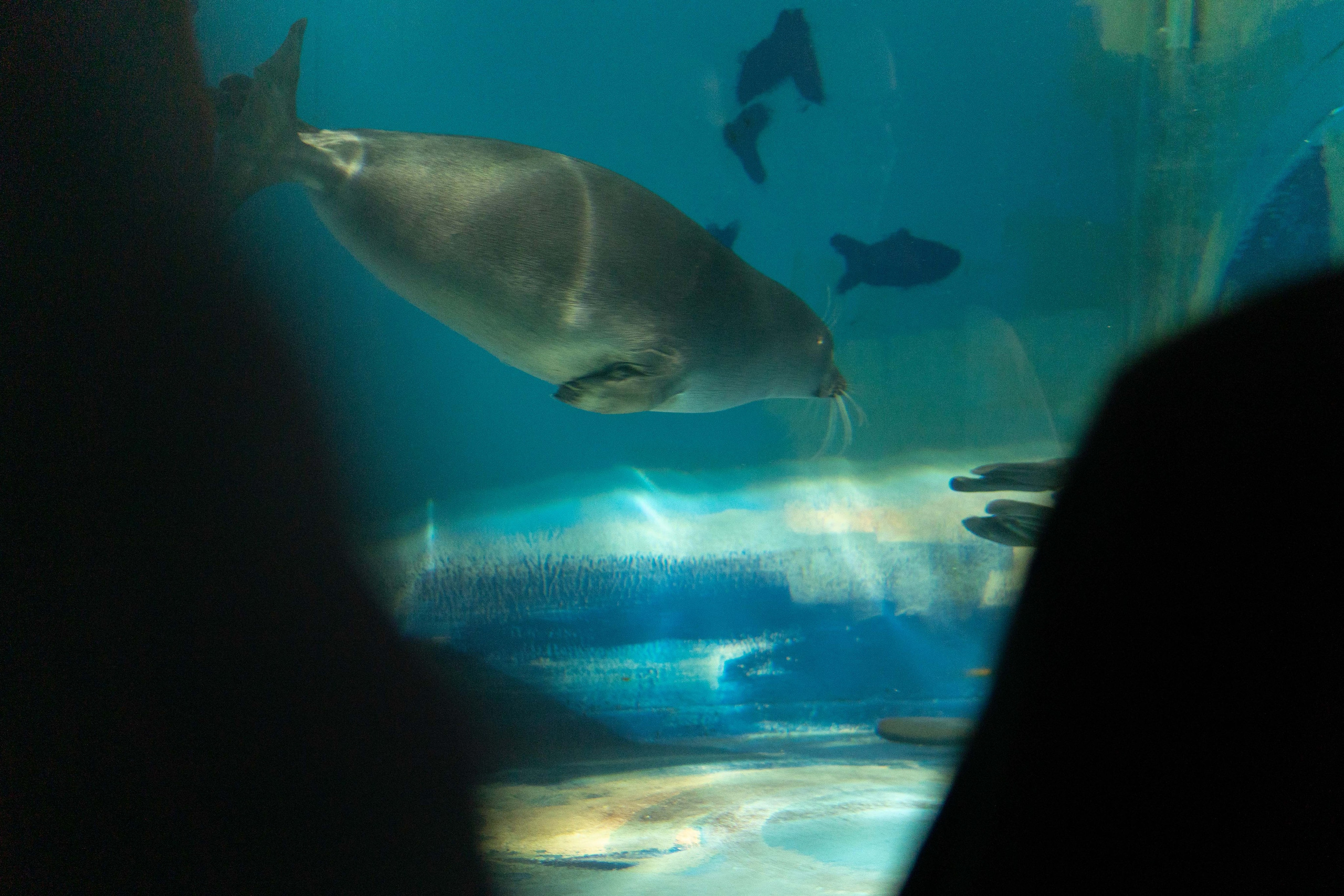 Экскурсия краснодарской делегации. Медиа-портфолио Марии Абрашиной