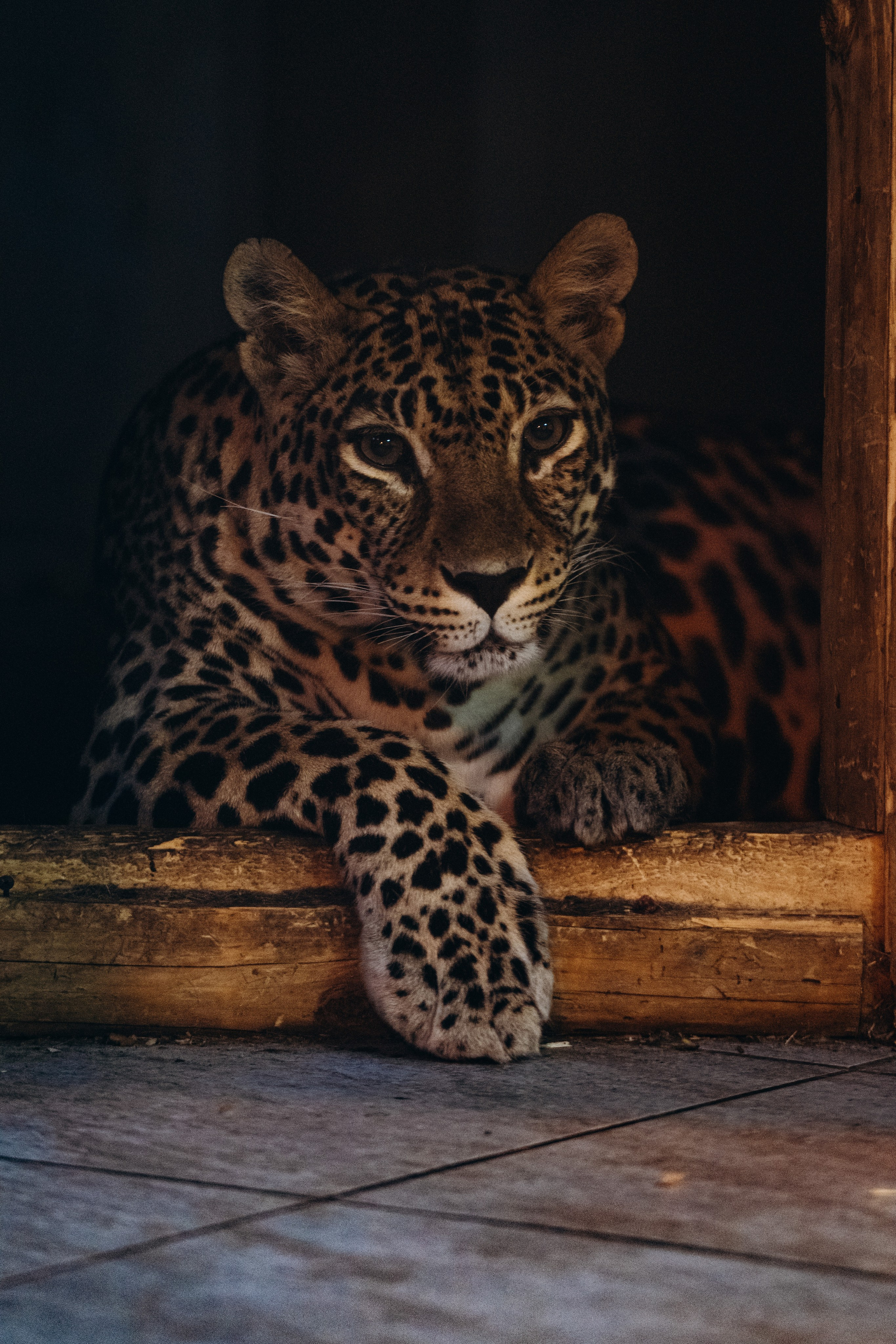 СЕВЕР. Event фотограф Степанова Александра