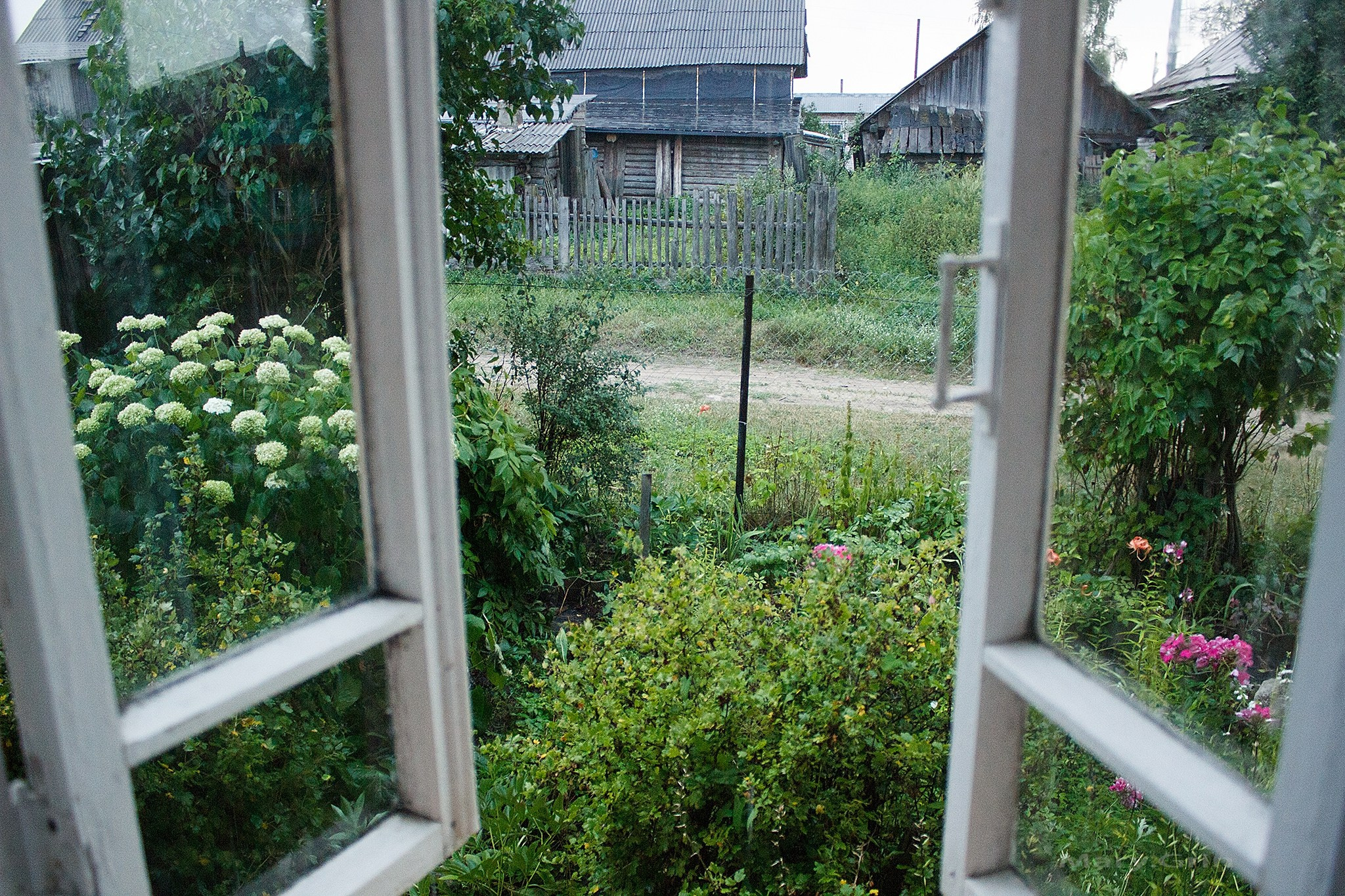 Русская деревня. Детский и семейный фотограф, фотограф мероприятий Нижний Новгород