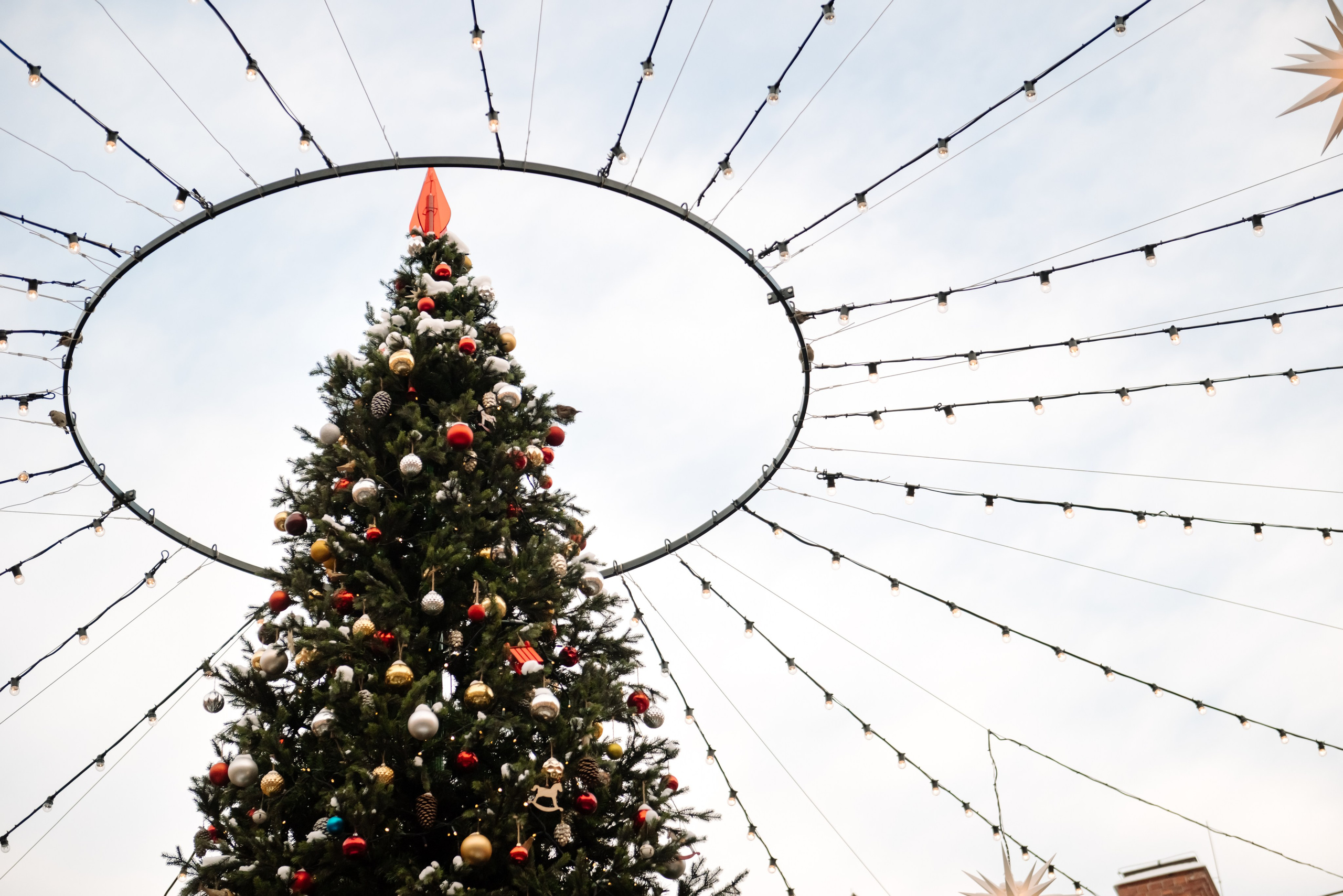 Новая Голландия. Свадебный и сеейный фотограф в Санкт-Петербурге Елена Худякова