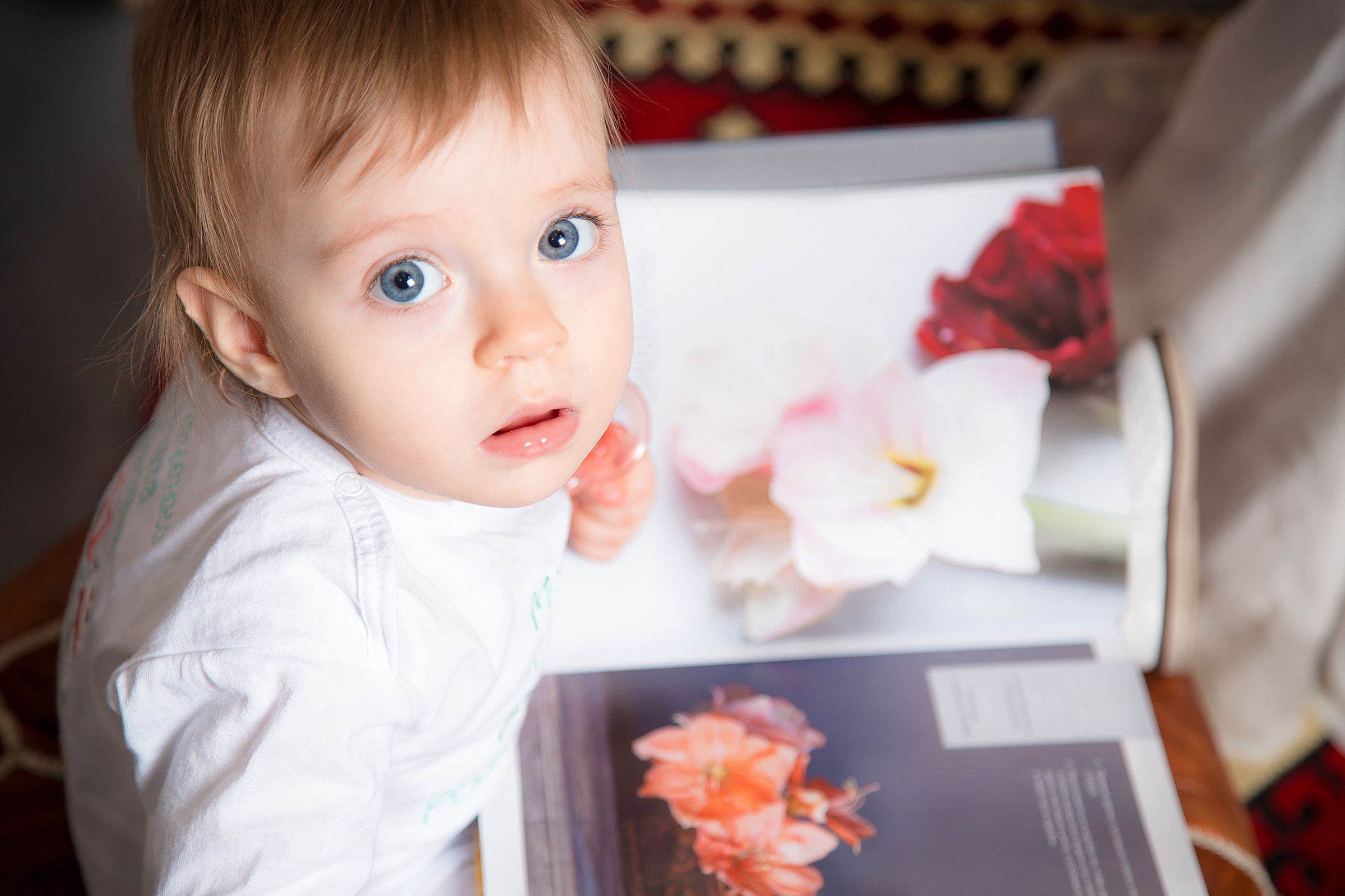 Семейные. Свадебный Семейный Репортажный фотограф в Москве