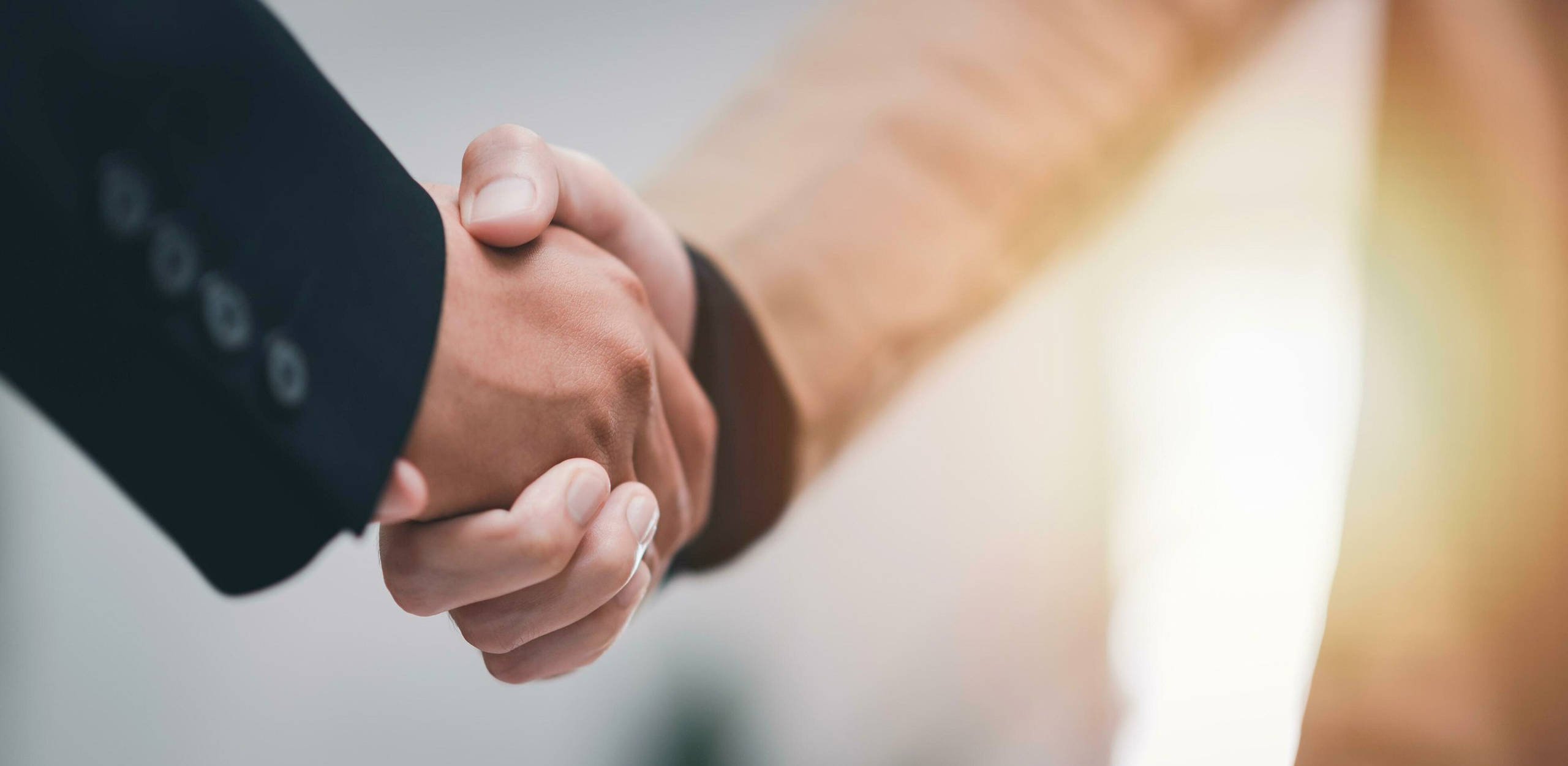 Условия. Экспорт сельскохозяйственной продукции в Европу и страны СНГ