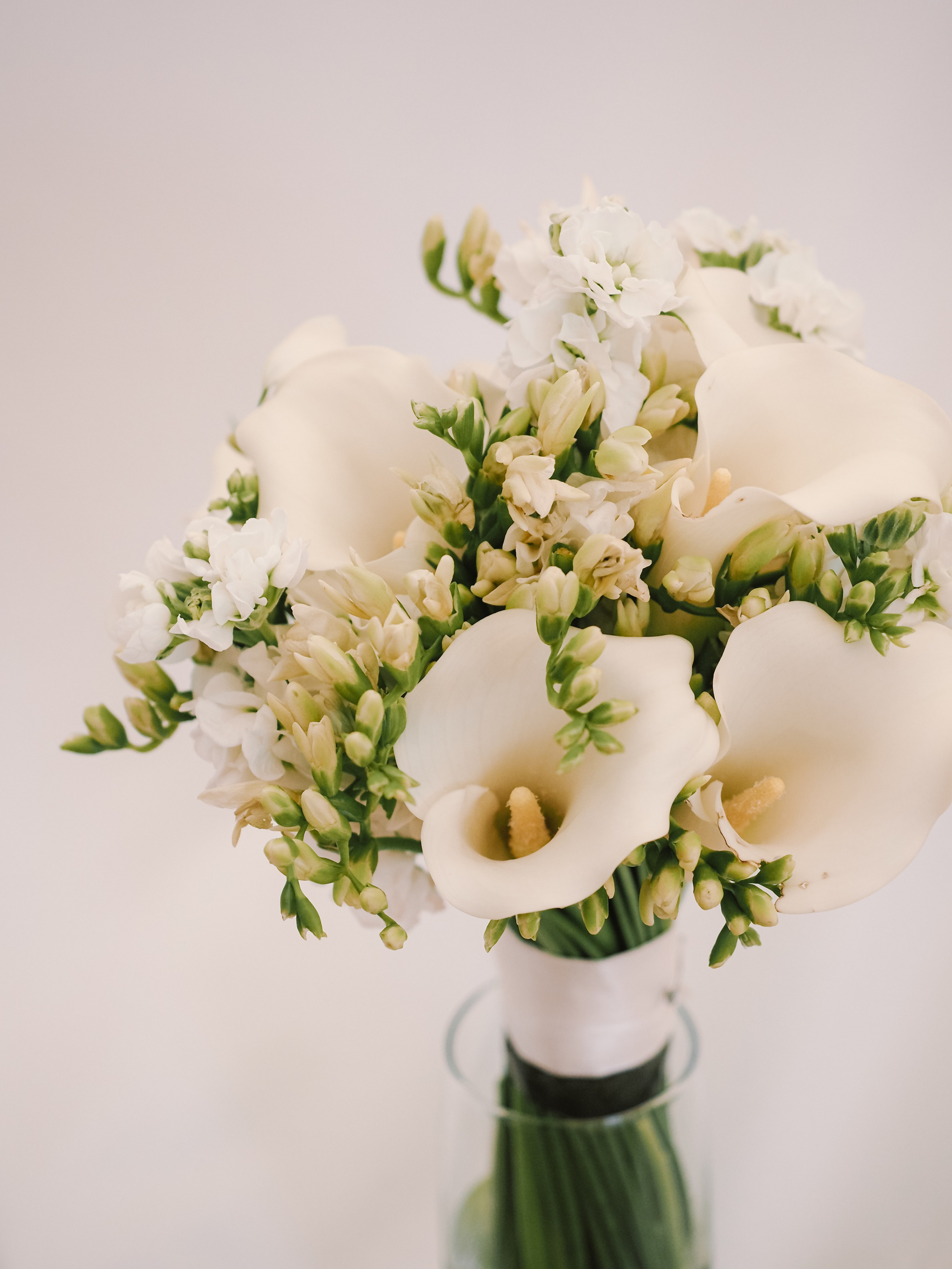 Михаил и Анастасия. Фотограф Рязань. Семейный Свадебный фотограф