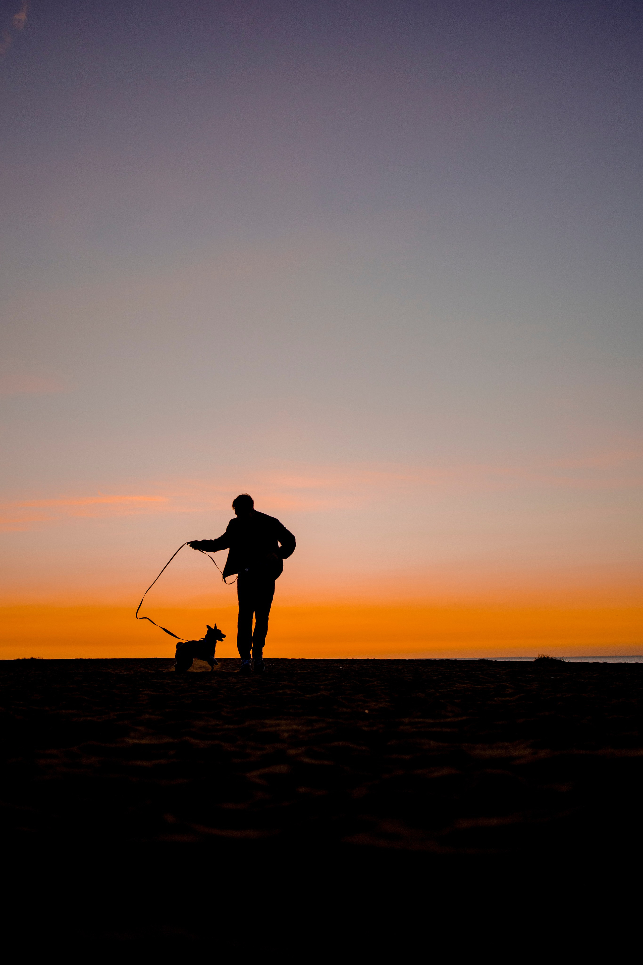 Лео и Саша. Фотограф-анималист в Санкт-Петеребурге Титова Алиса