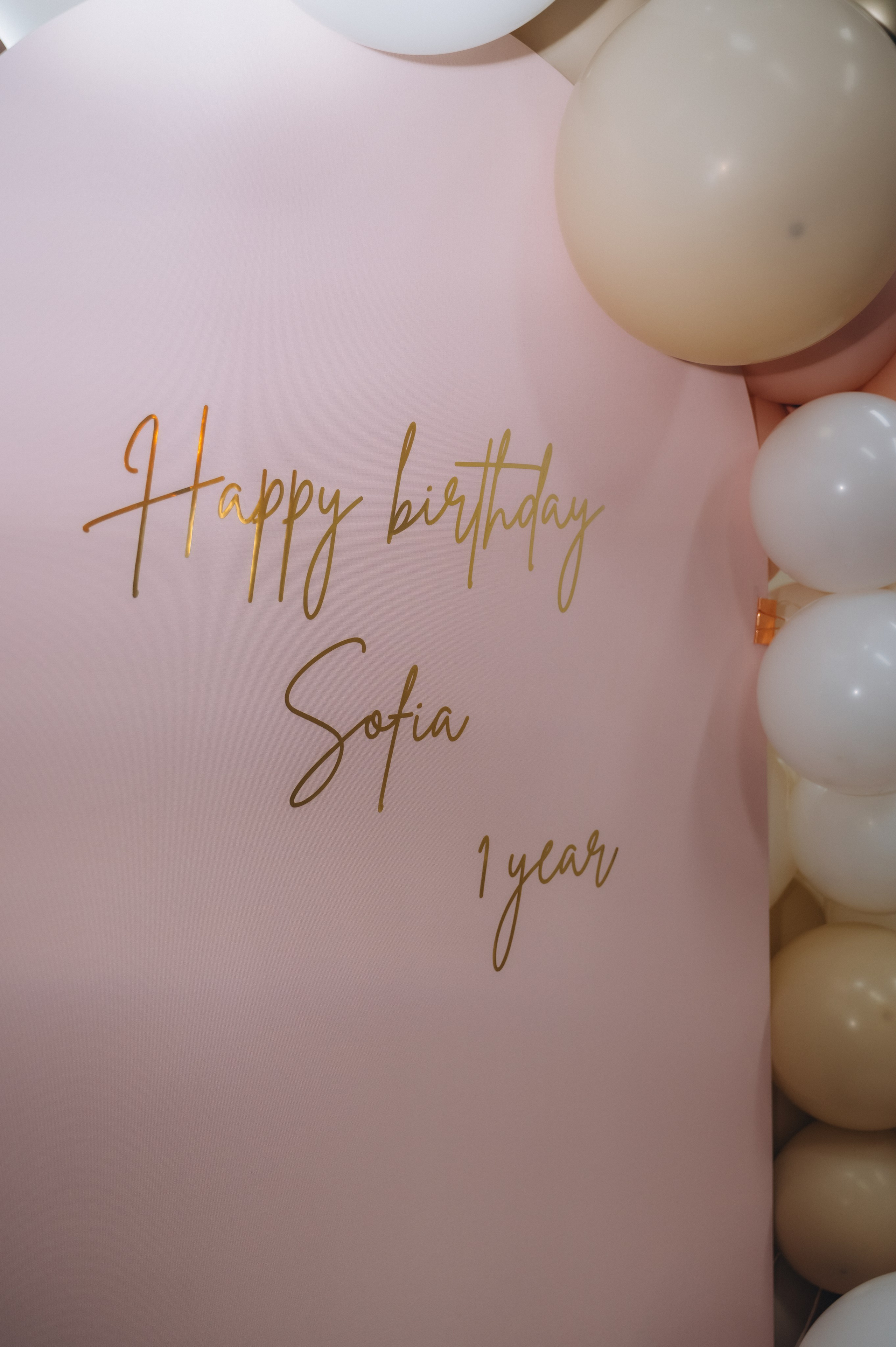 День Рождение Софии в Пуговке. Семейный фотограф в Минске Дарья Дреко