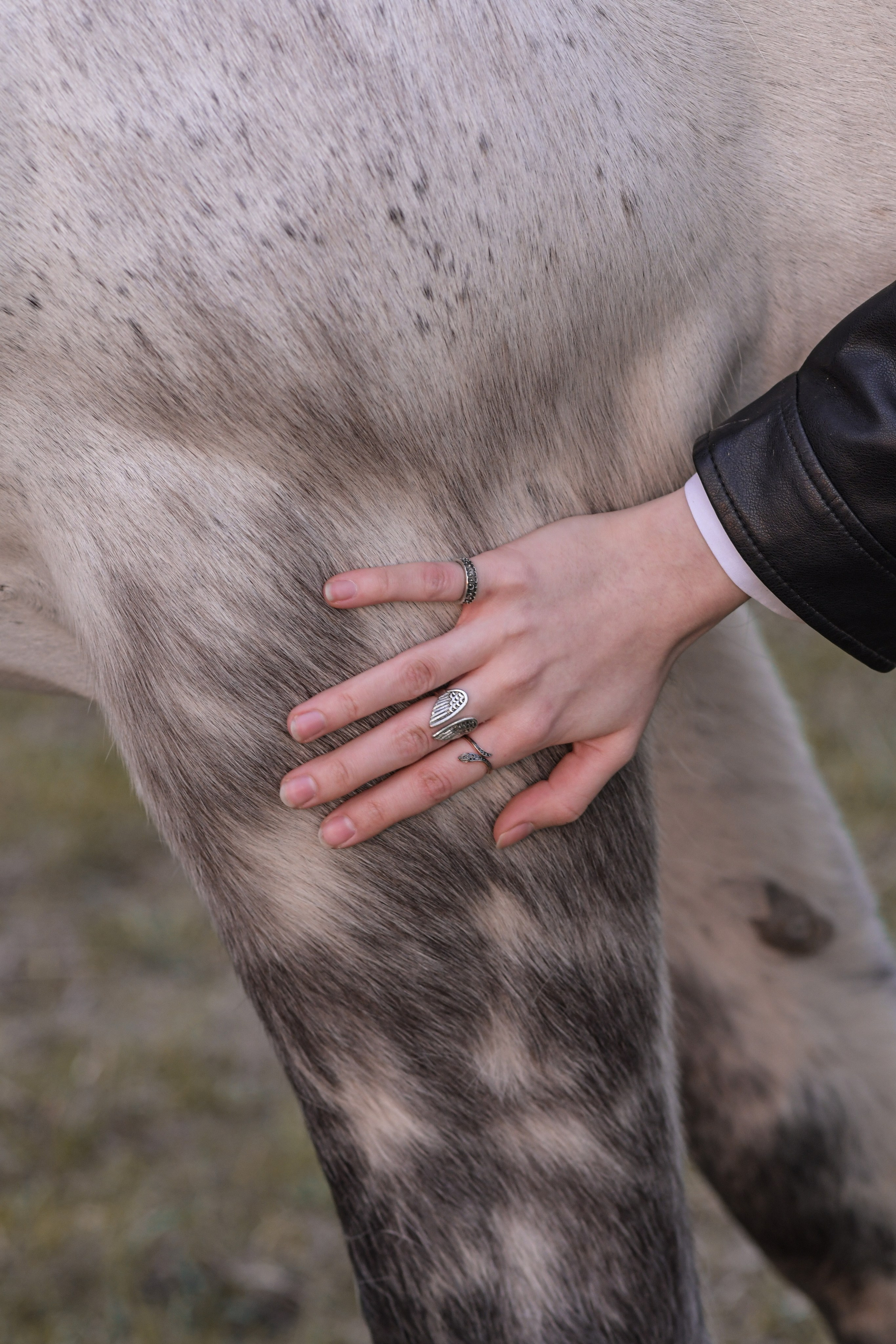 Портретная фотосессия с лошадьми. В созвучии с природой. Фотограф Светлана В. Пронина, Москва
