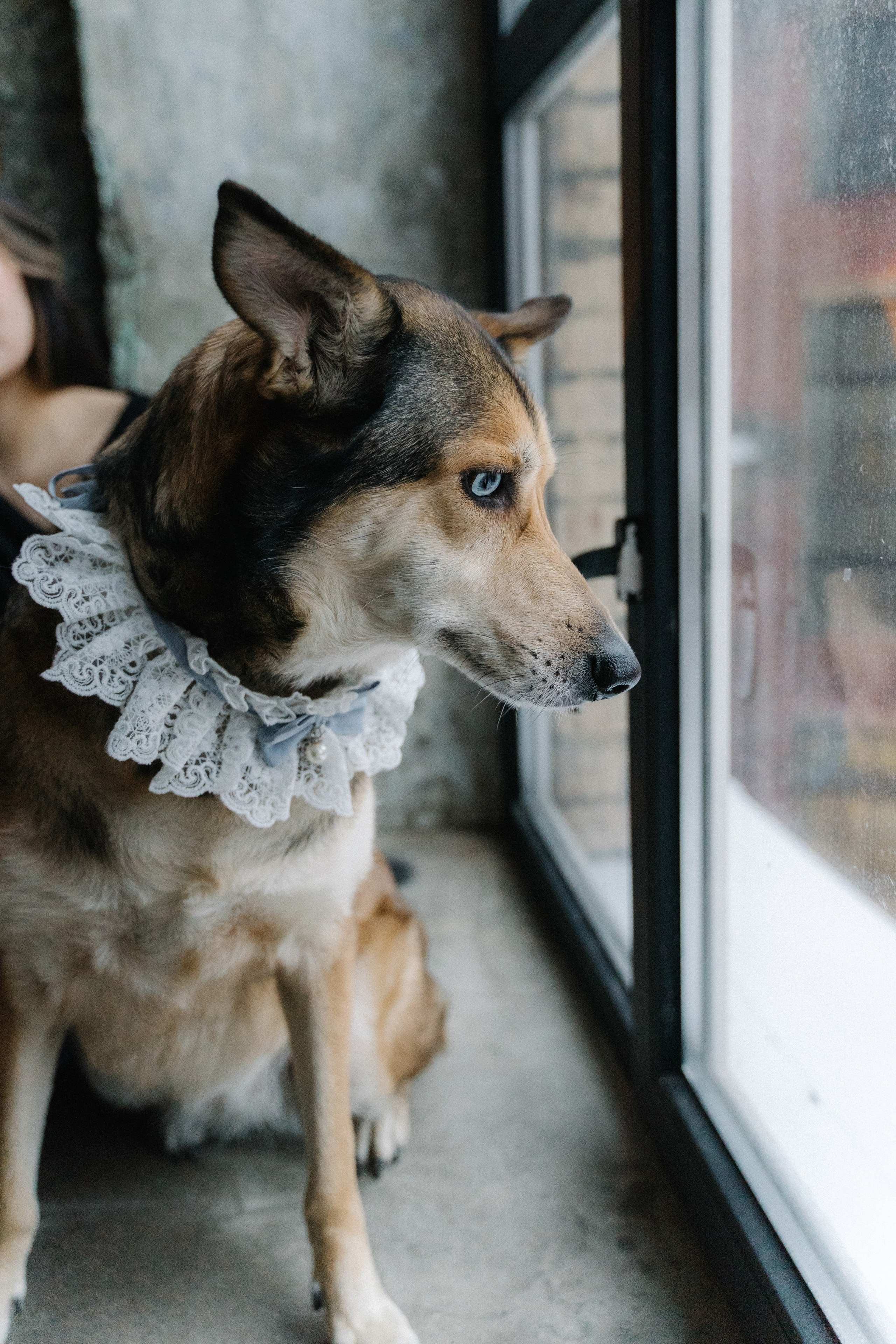 Туяра и Денис. Главная