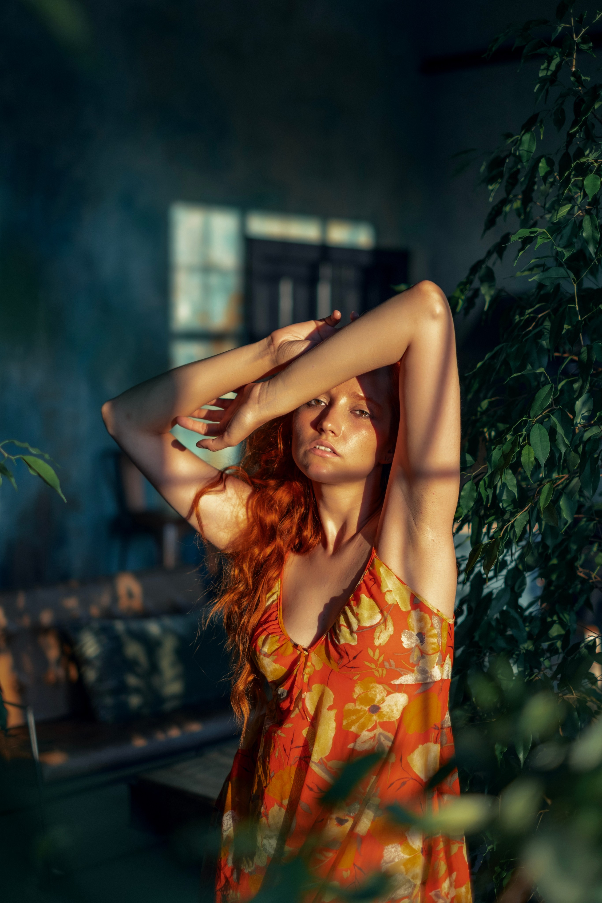 Garden. Andrey Bogdanov Photo