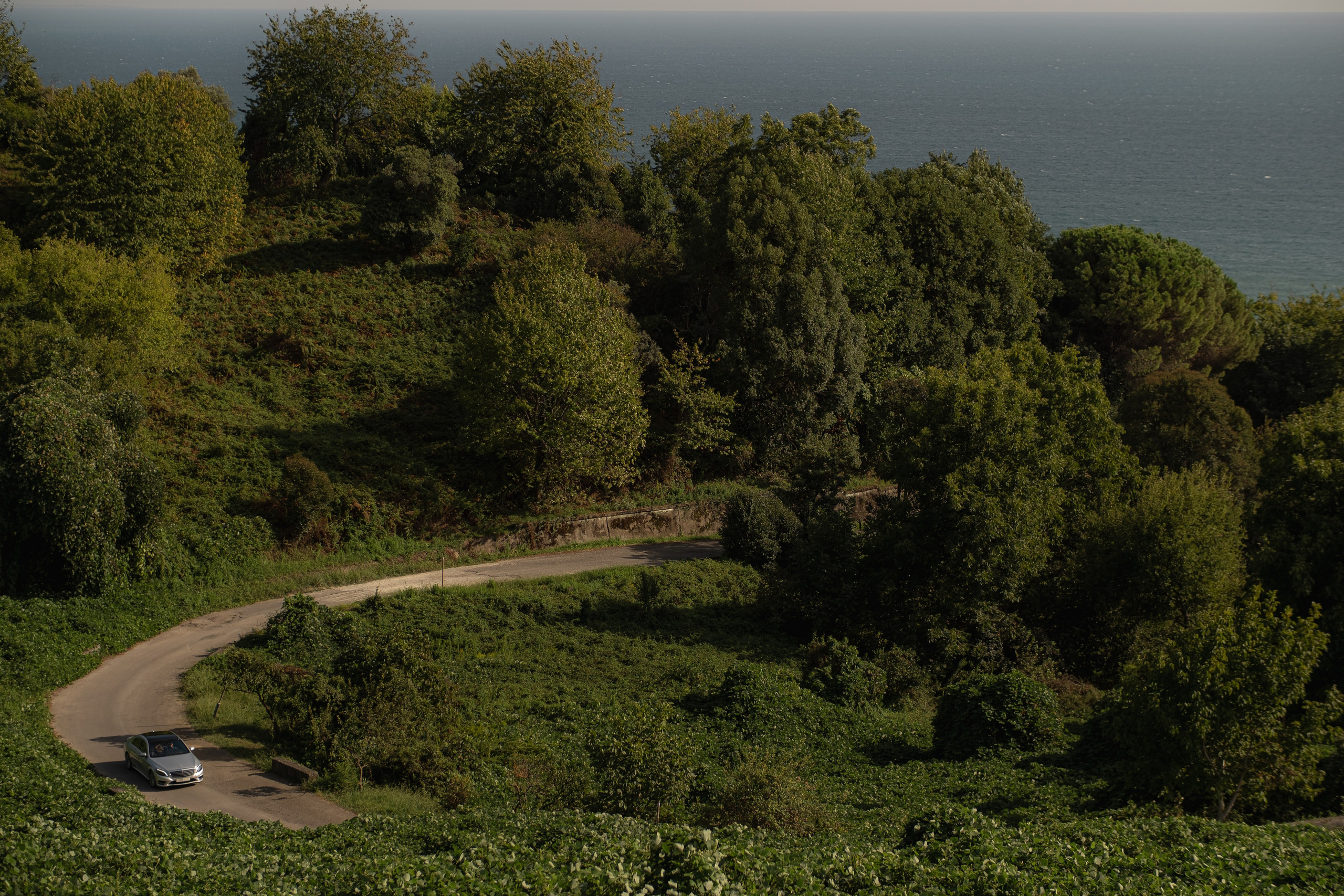 Abkhazia: Lola&Kemal. Сентиментальная свадебная фотография