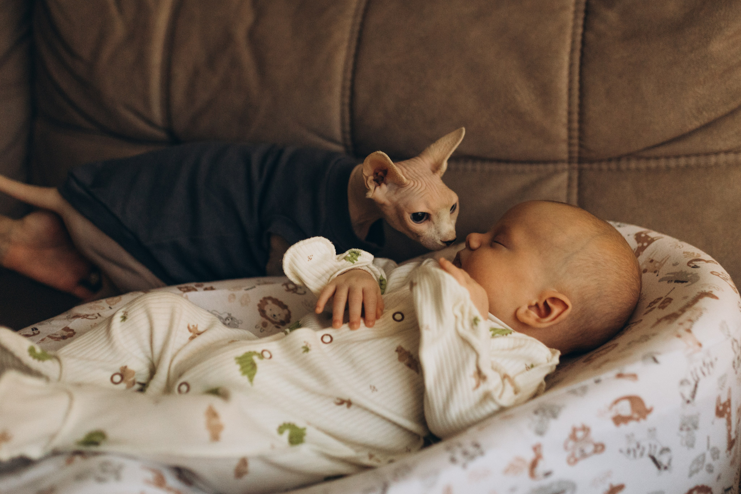 11. Семейный фотограф в Москве Жукова Анна