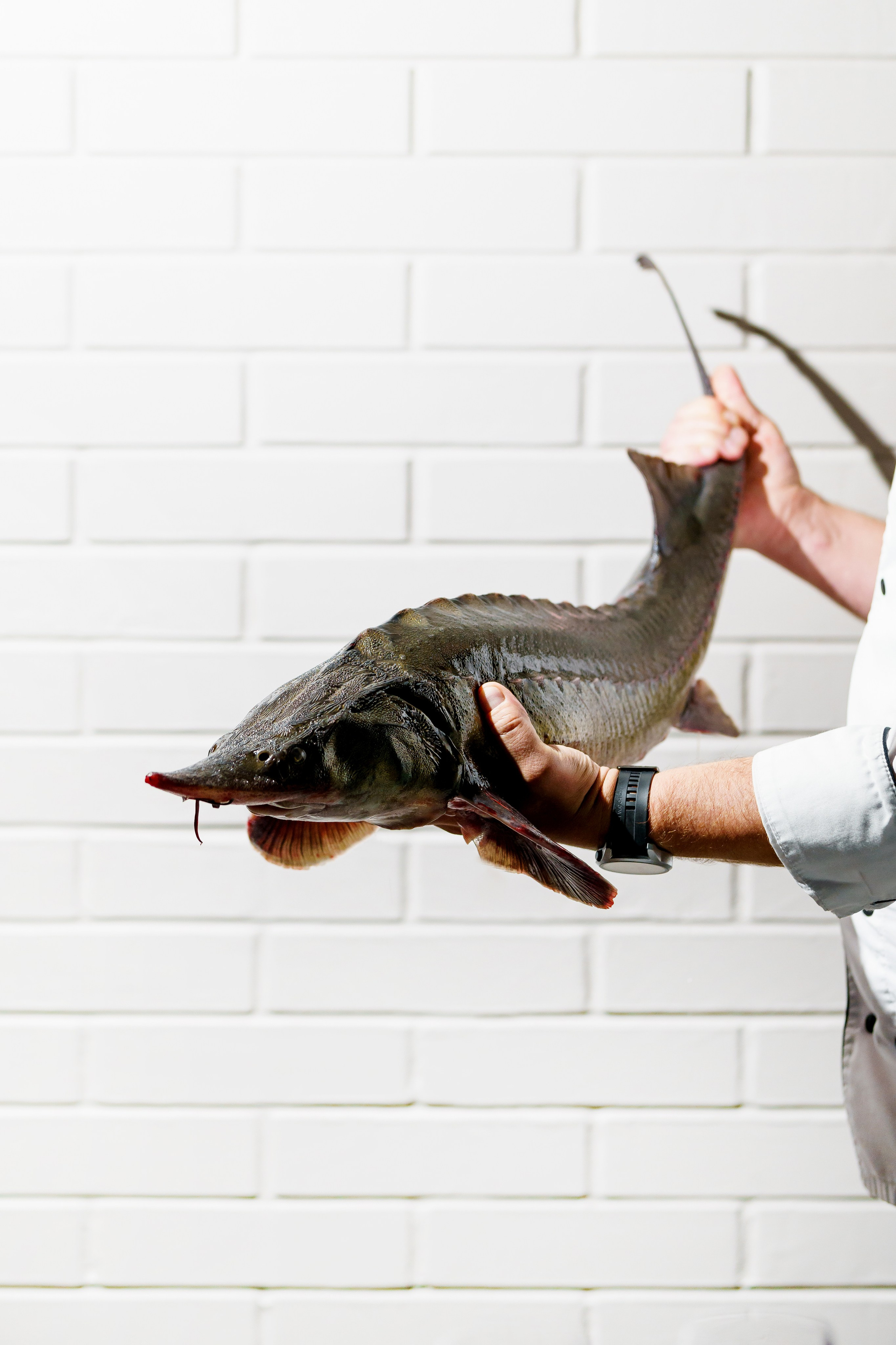 Ресторан «Murmansk». Контент фотограф в Москве Александр Хитько