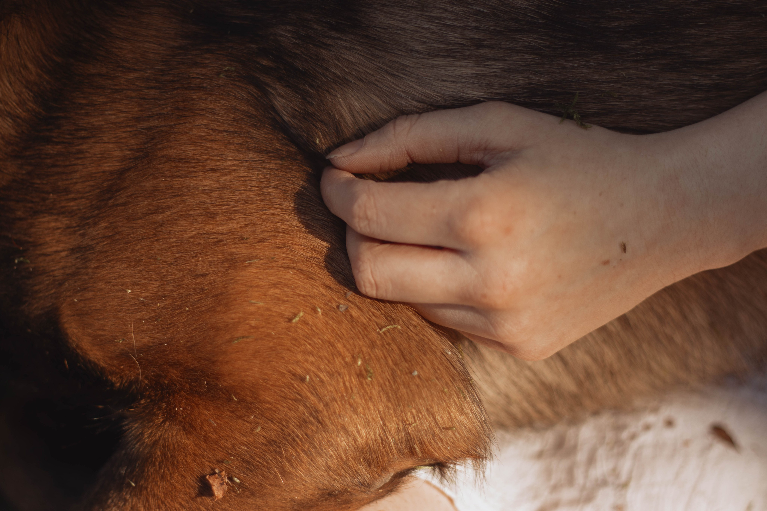 Дарья. Портретный фотограф в Санкт-Петербурге