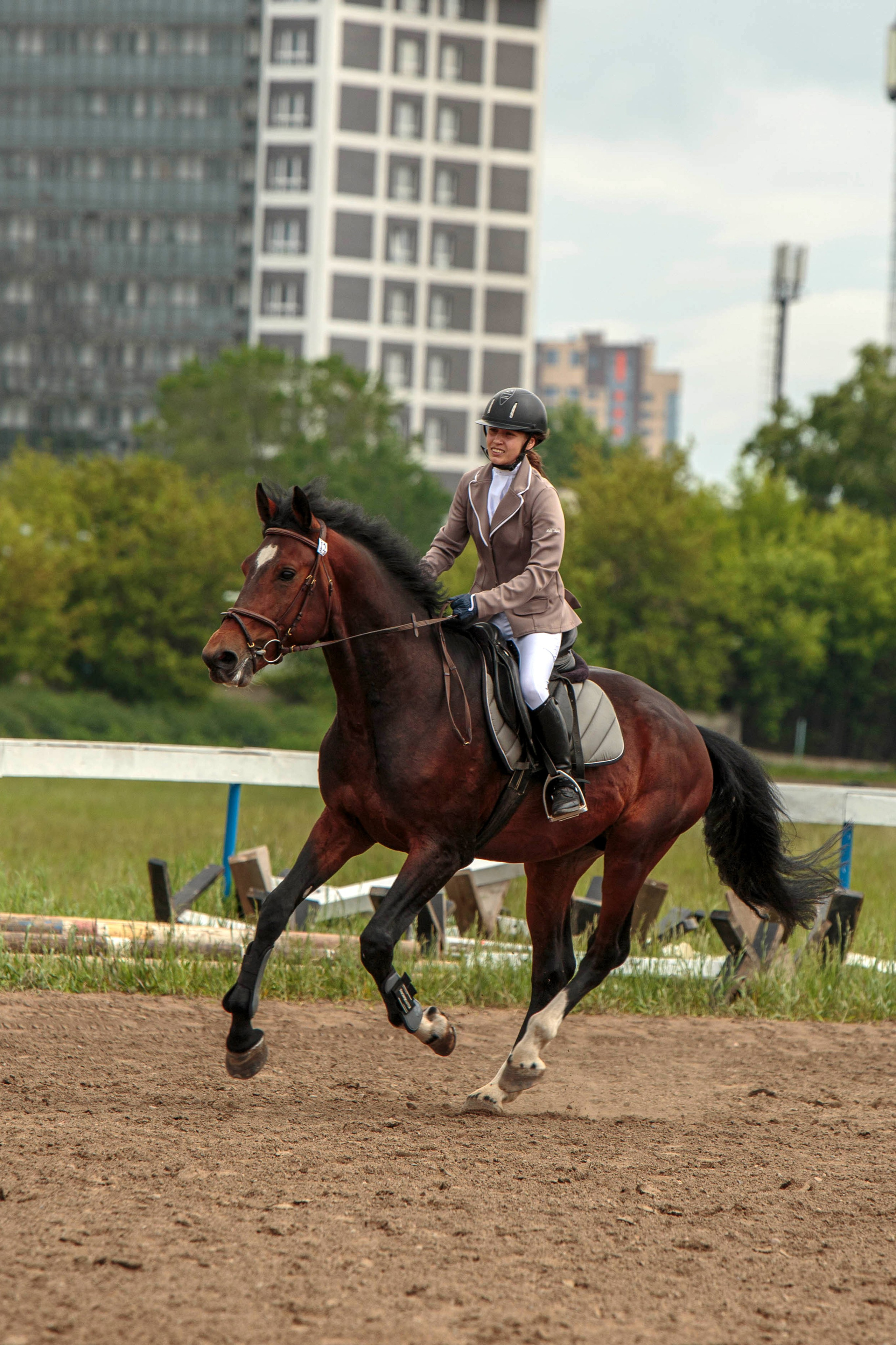 2024. Конный фотограф в Красноярске — Любовь Похабова