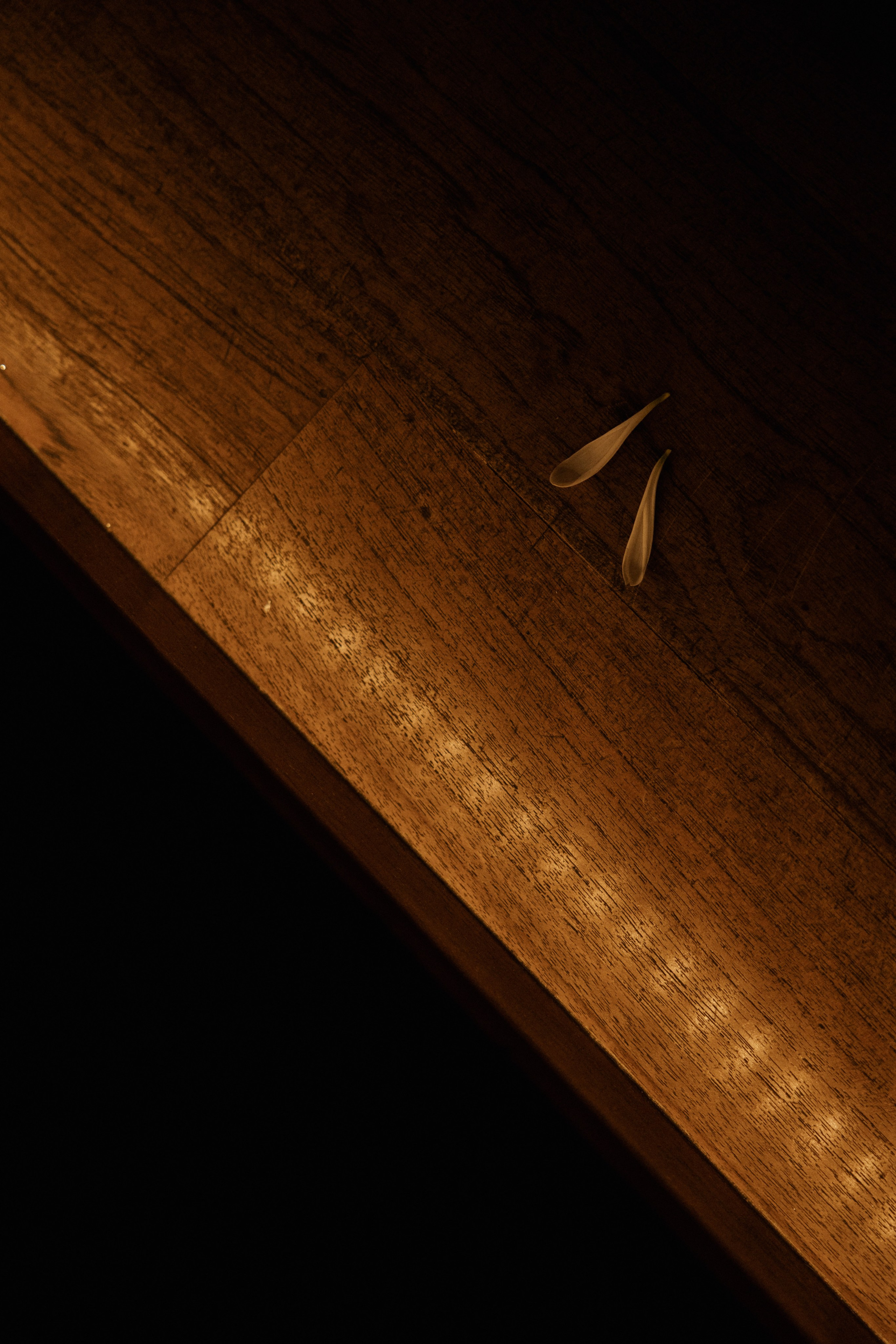 Кирилл Анастасия. Свадебный фотограф Воронеж Москва СПБ