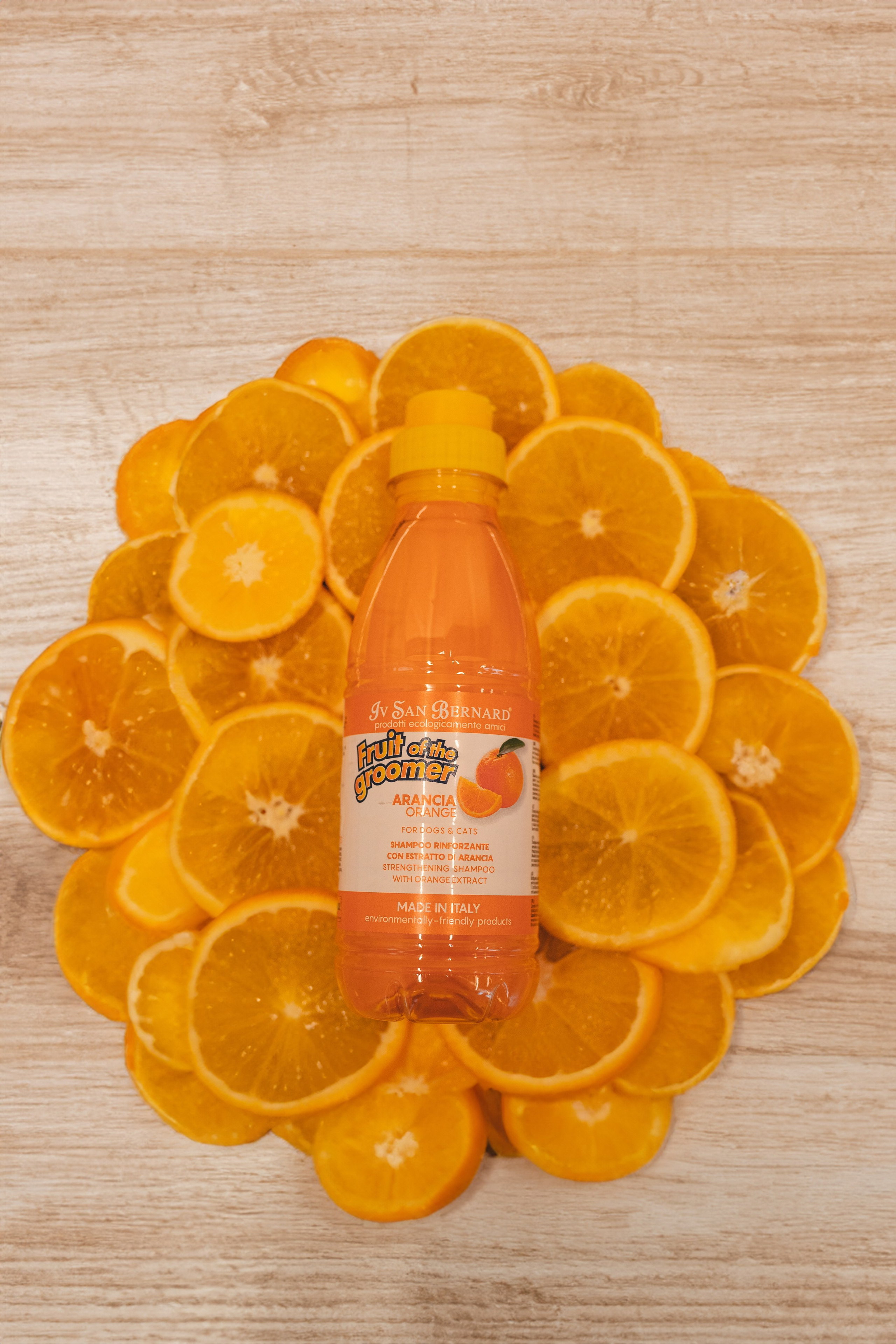 Груминг — салон. Фотограф анималист Осипчикова Мария