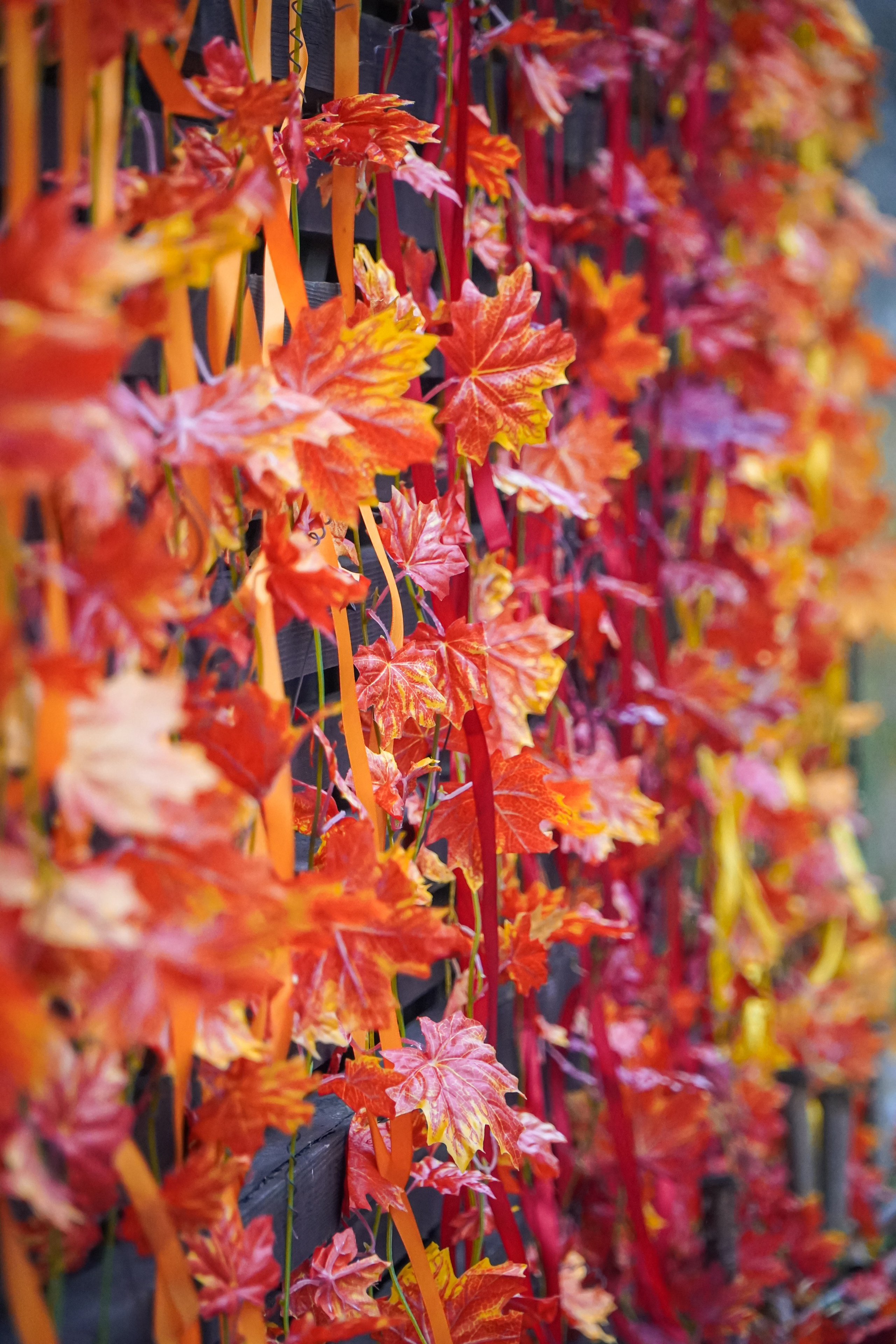 5 вёрст Реутов 16.11.2024. Роман Капилюшов. Бег. Фото. Видео. г. Люберцы