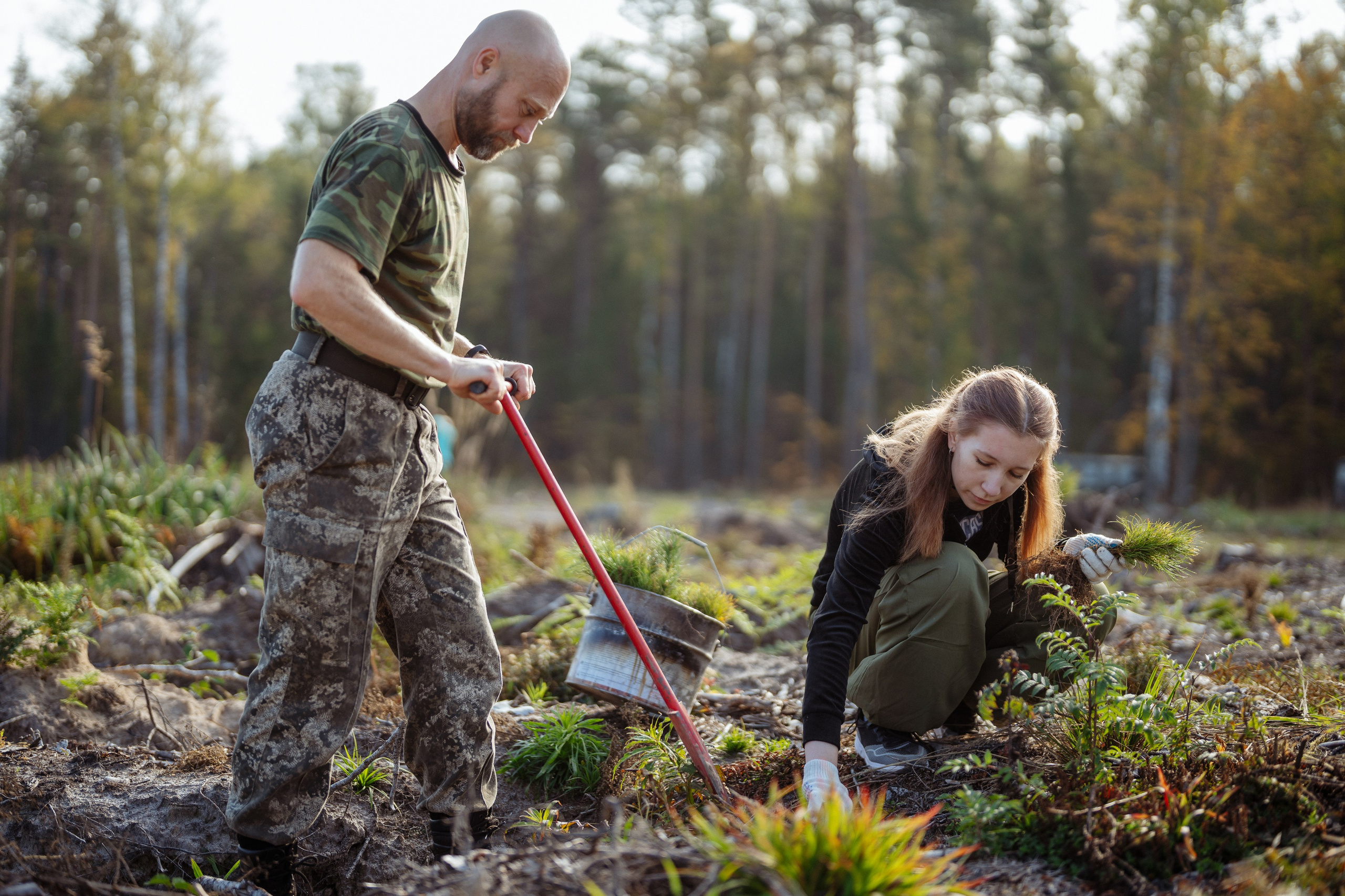 СБЕР · ЭКА · Посадка сеянцев. Владимир Вершинин, тот самый свадебный видеограф