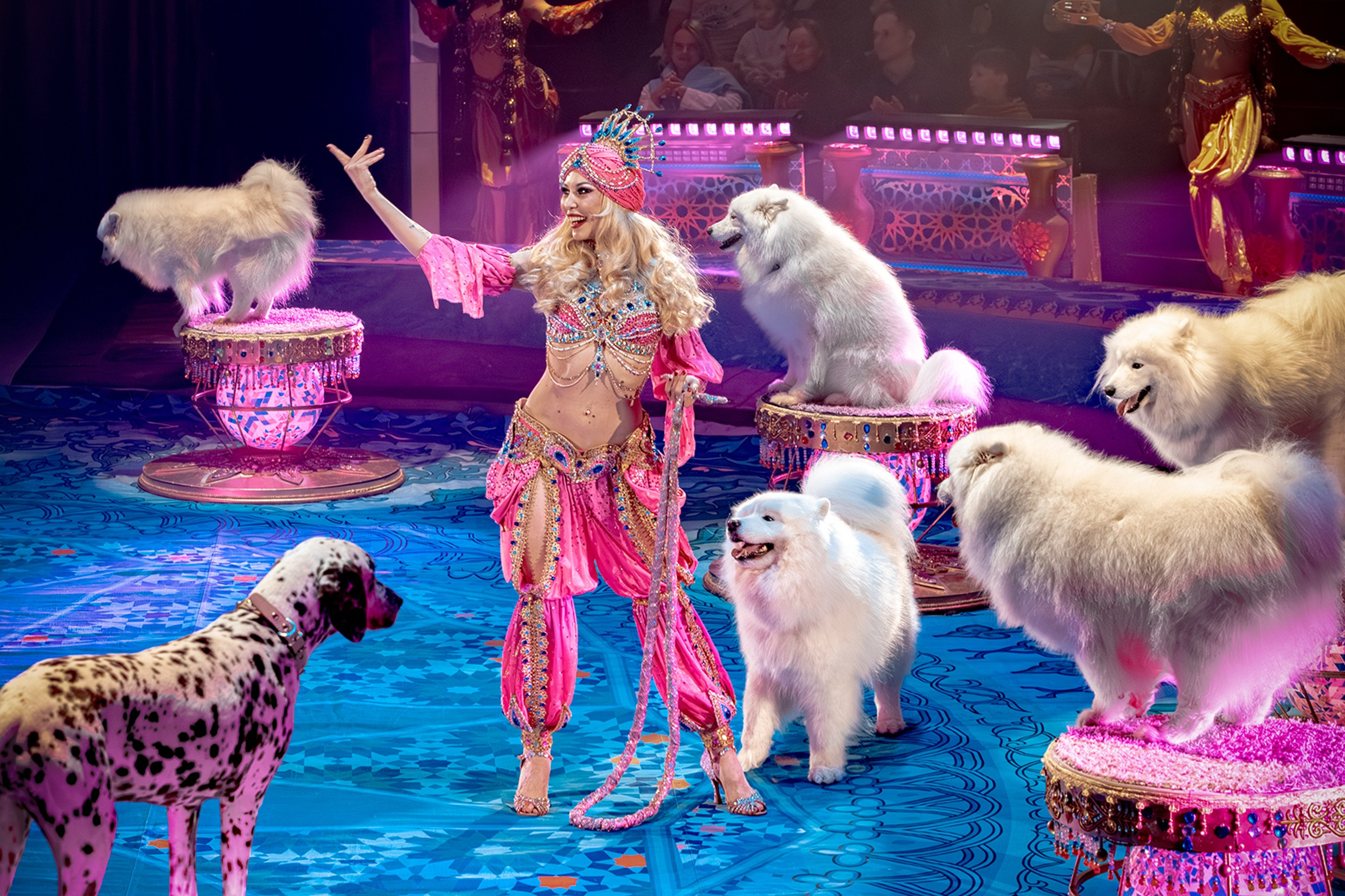 Photographer SVETA GOSHTAUTAS