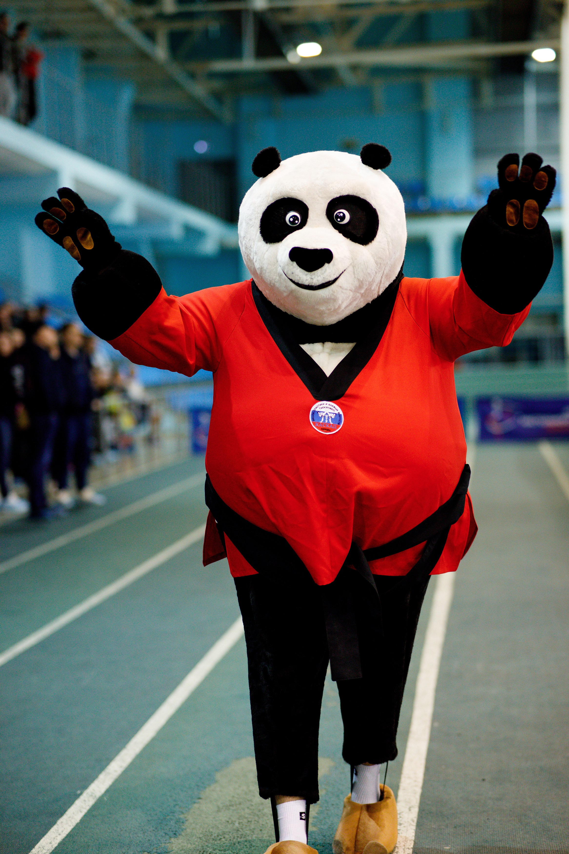 Тхэквондо СК «Каскад». Фотограф Дмитрий Молчанов | Фотограф Пермь | Фотограф