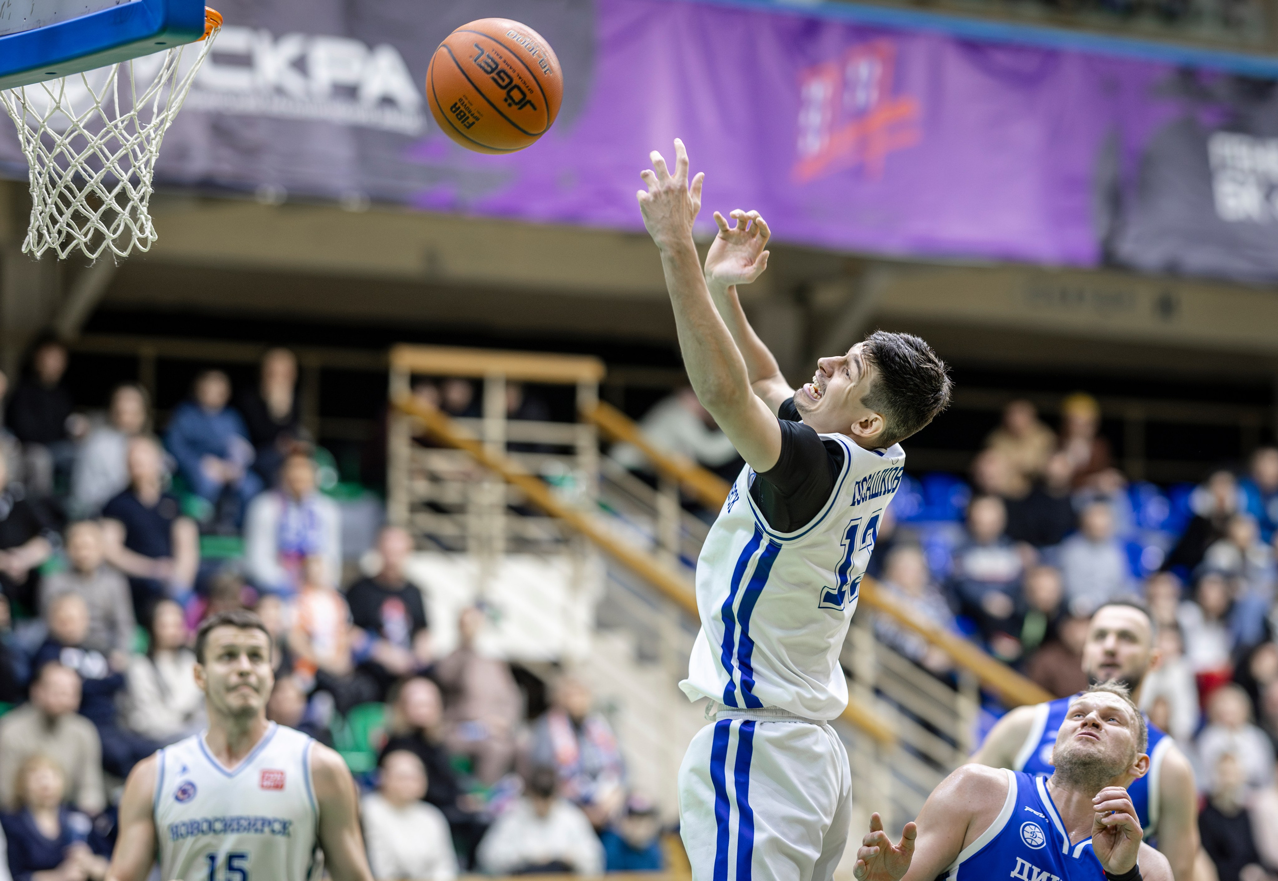 Контакты. Bertran Ordo