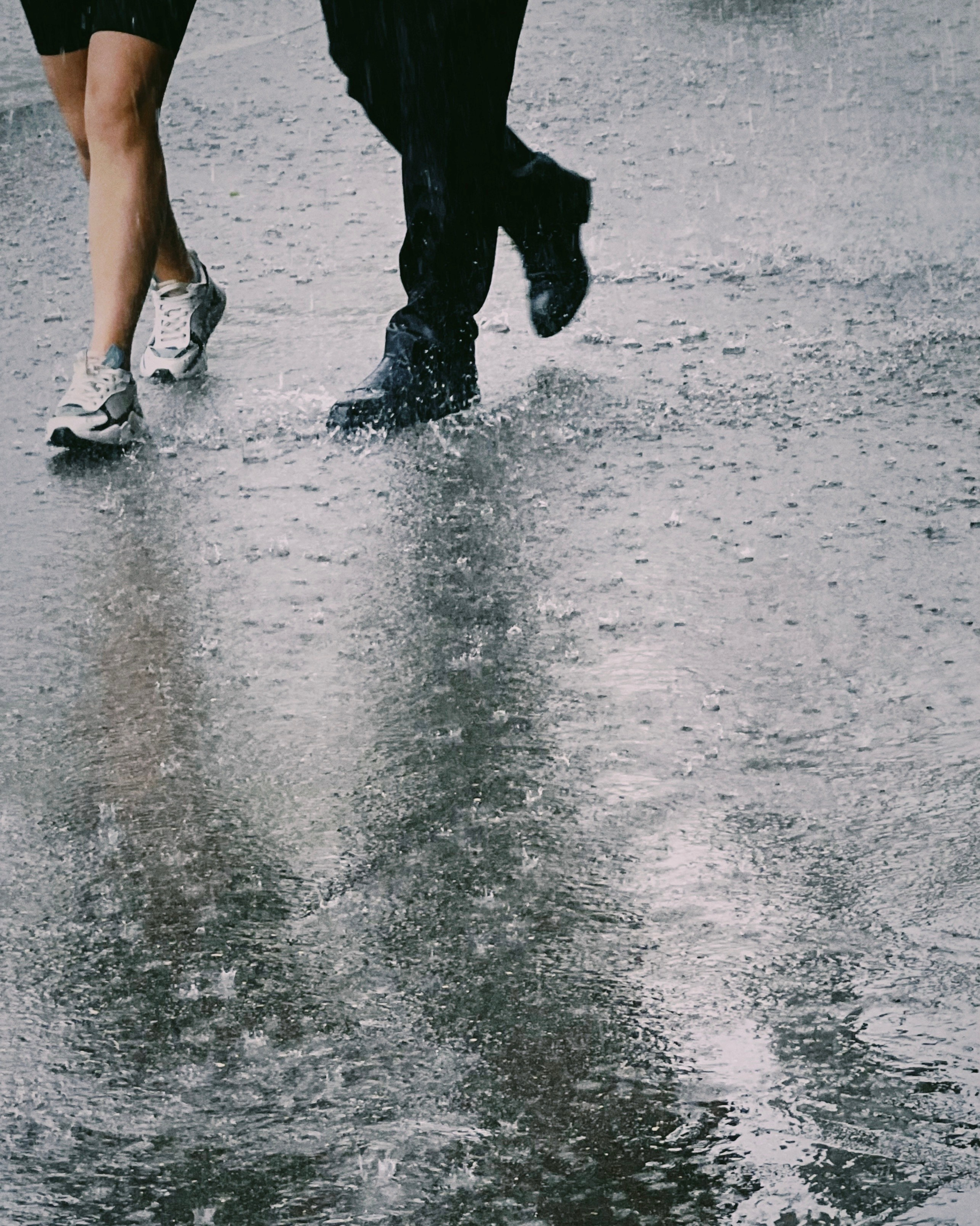 Лучшие фото, снятые на iPhone