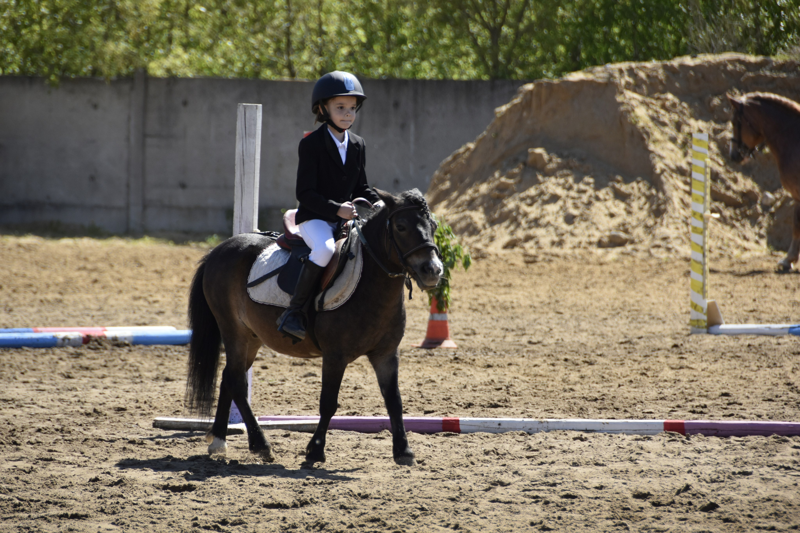 Соревнования по конкуру. КСК «Галактика». Конный фотограф Москва