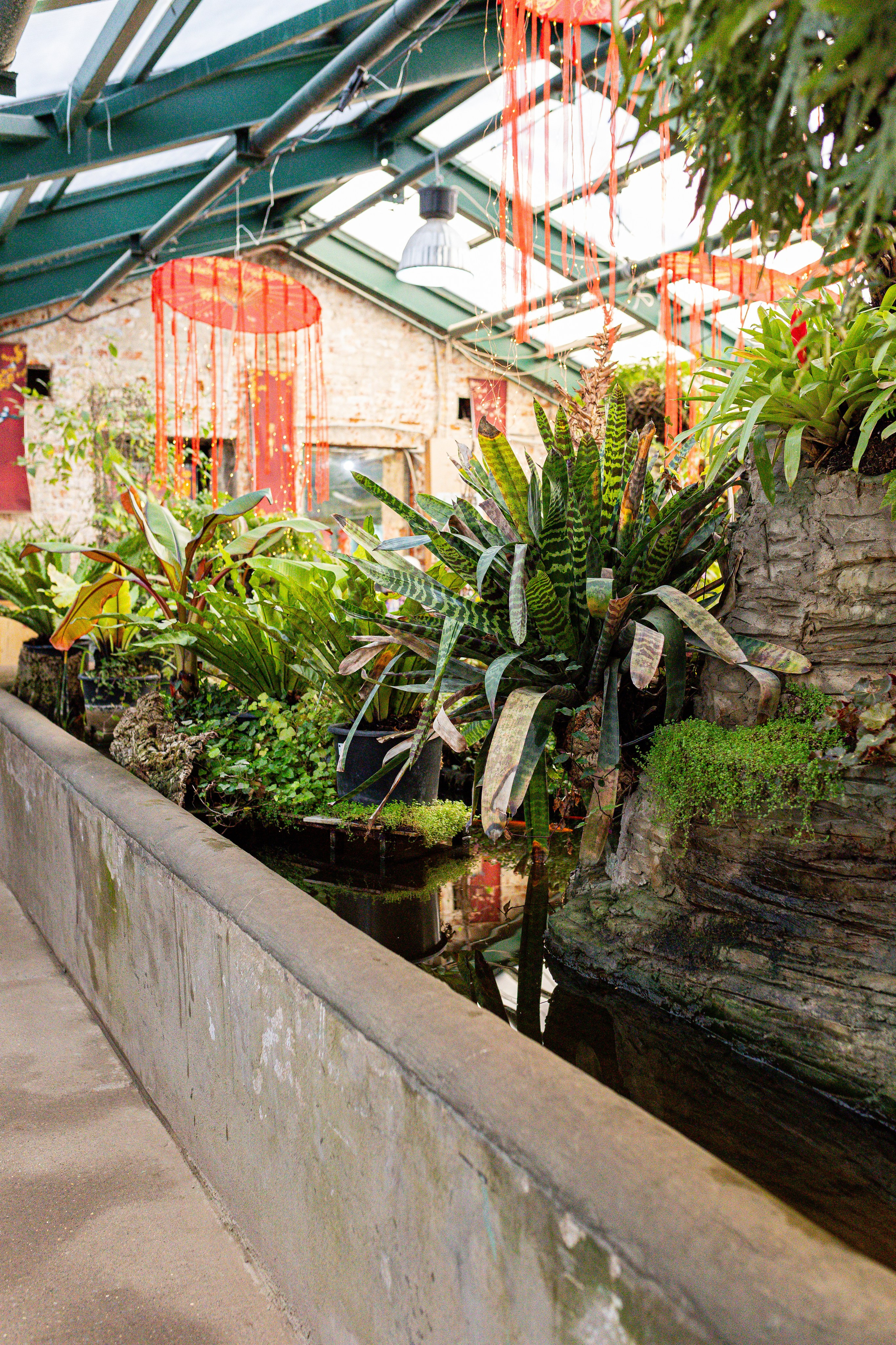 Аптекарский огород МГУ. Китай. Александра Куликова фотограф, Москва