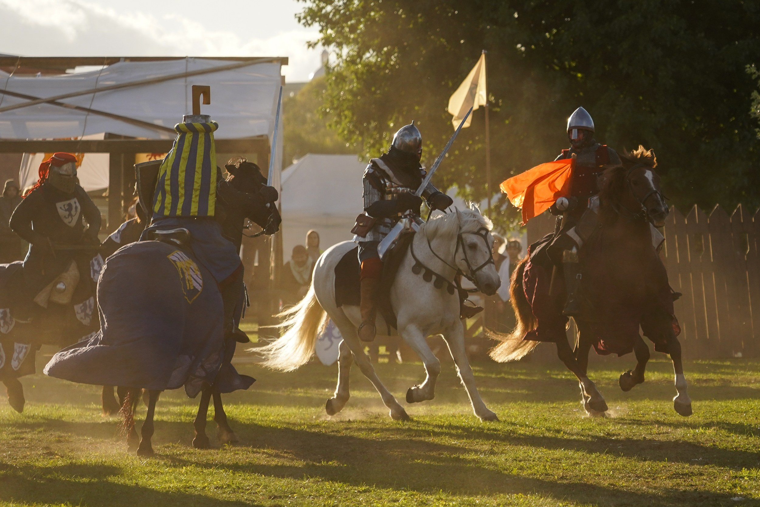 Рыцарский турнир в рамках фестиваля «Битва на Неве» Санкт-Петербург 2024 г. Фотограф-анималист, портретный фотограф в Чебоксарах Мария Садыкова