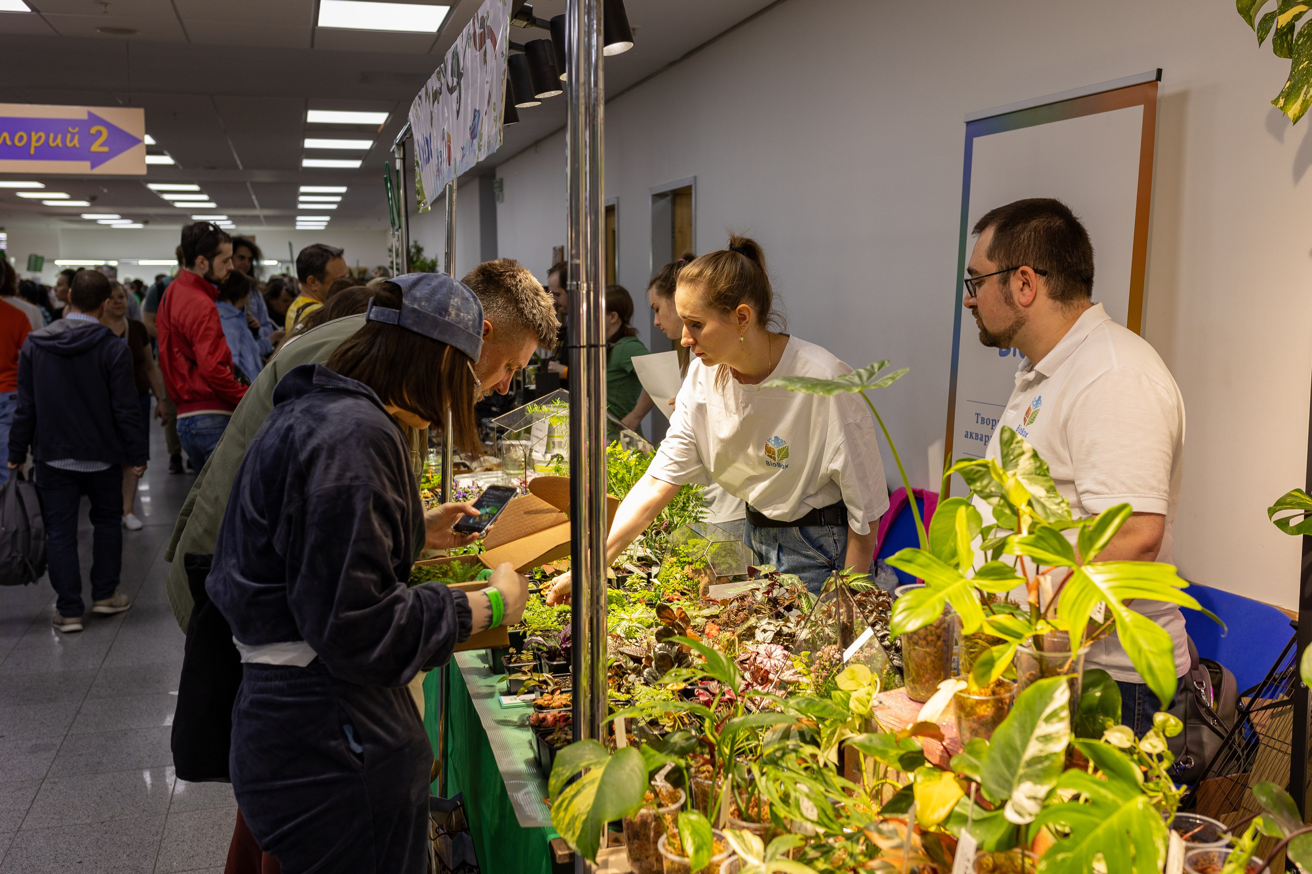 Орхидиум июнь 2024. Александра Куликова фотограф, Москва