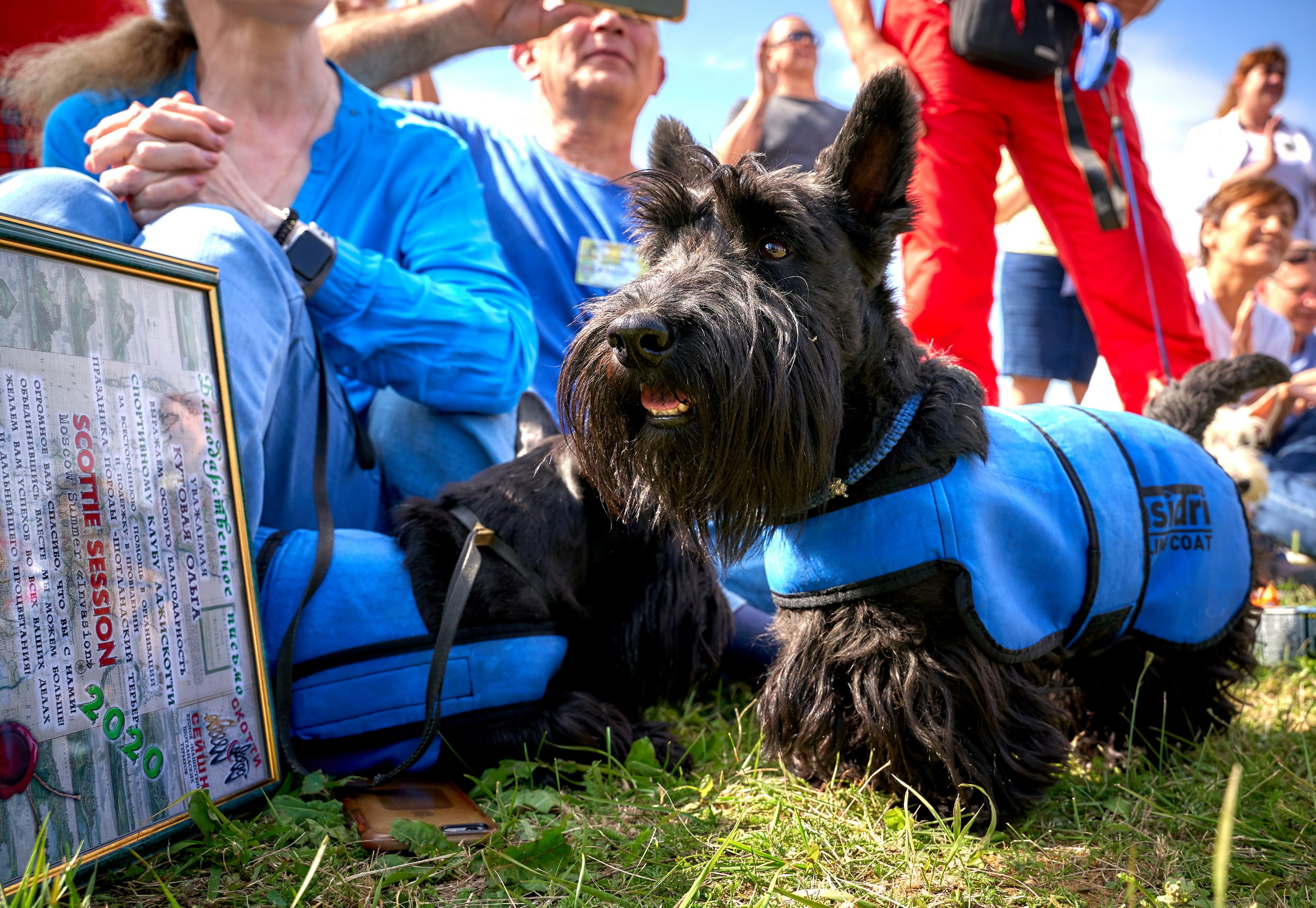 Мероприятия с собаками — галерея NATRIEL