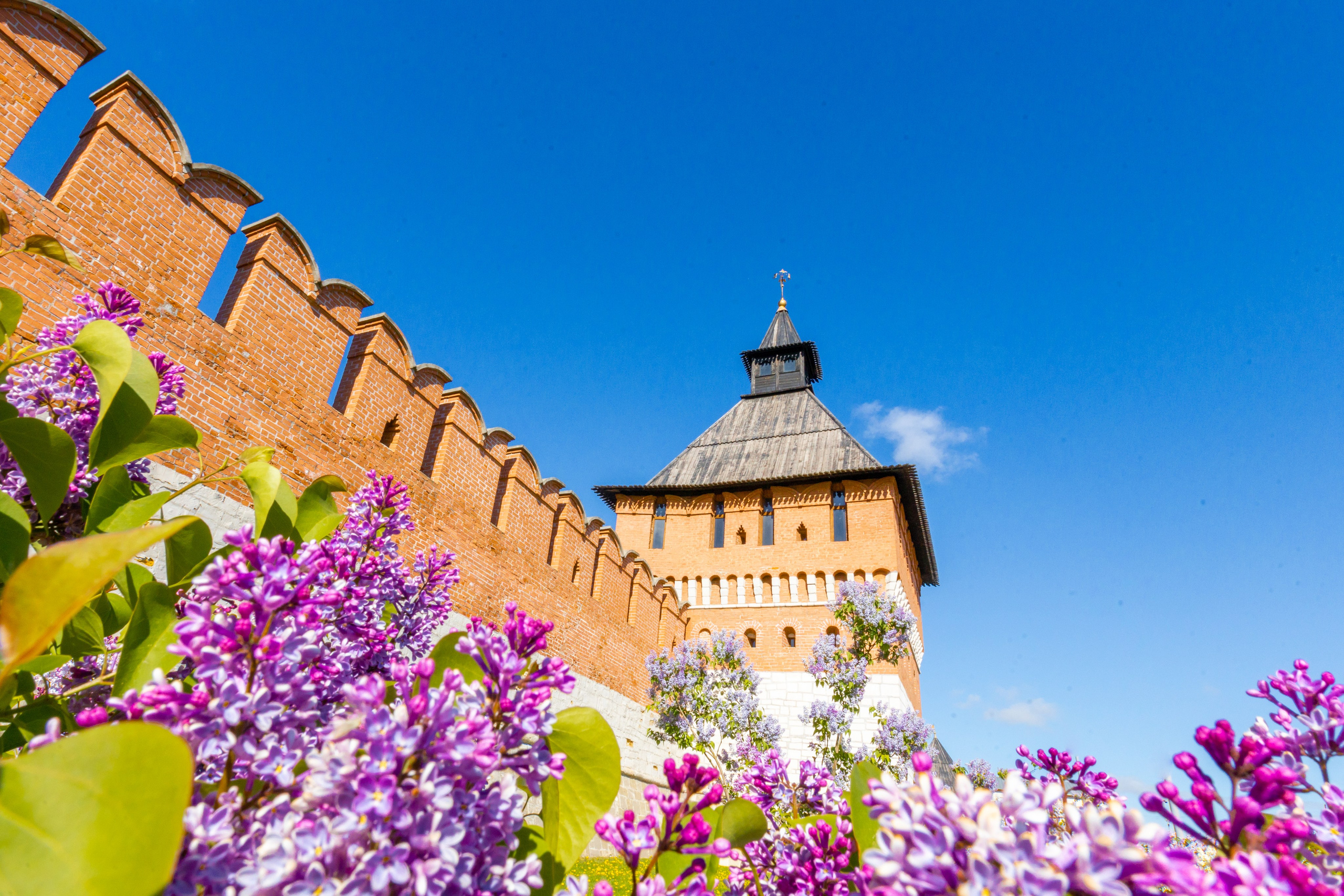 Весеннее цветение в Туле. Фотограф в Туле Крупский АнДРей. Фотостудия «КАДР71» в Туле