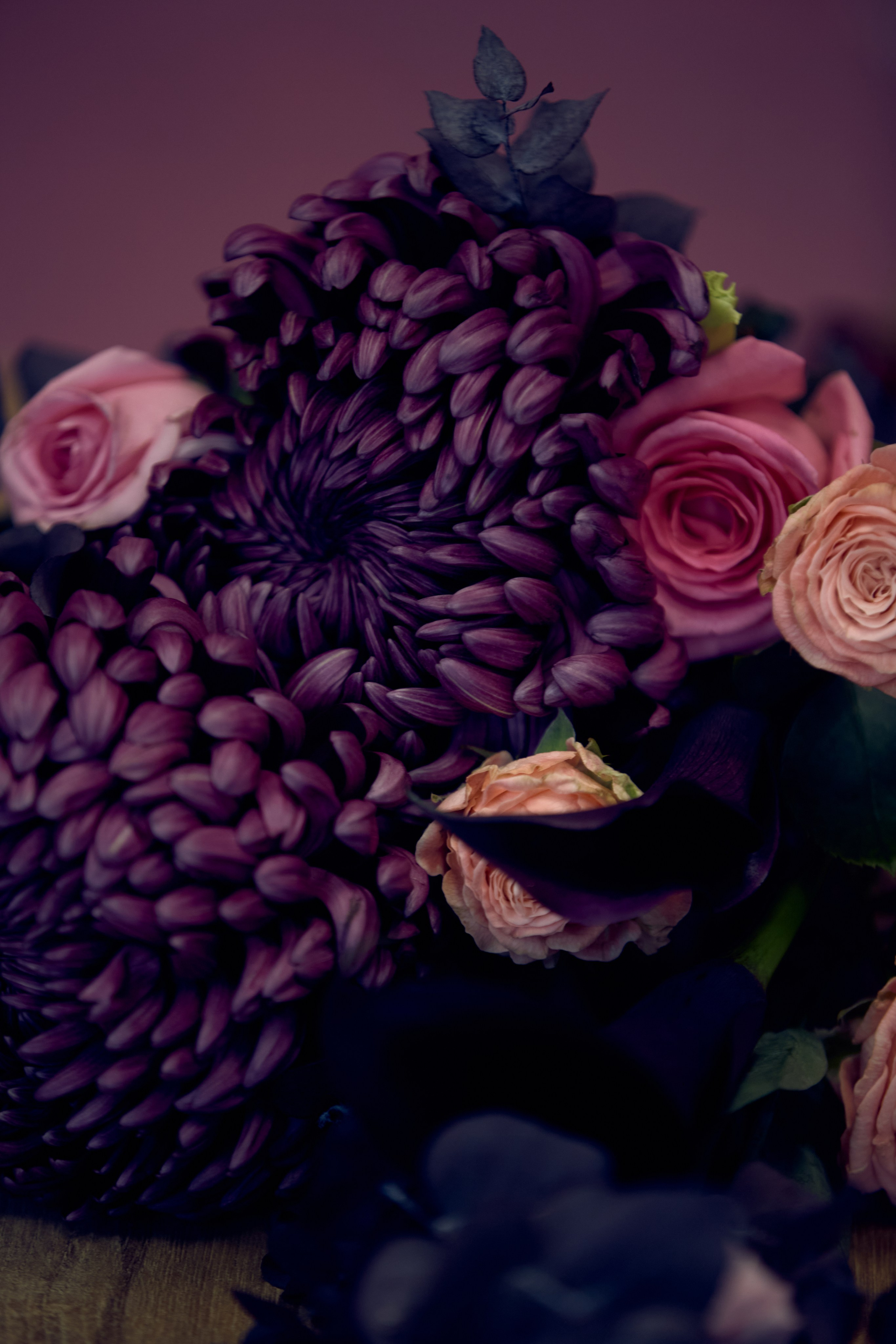 ART-HAOS. Фотограф видеограф в Москве и Московской области Саша Секрет