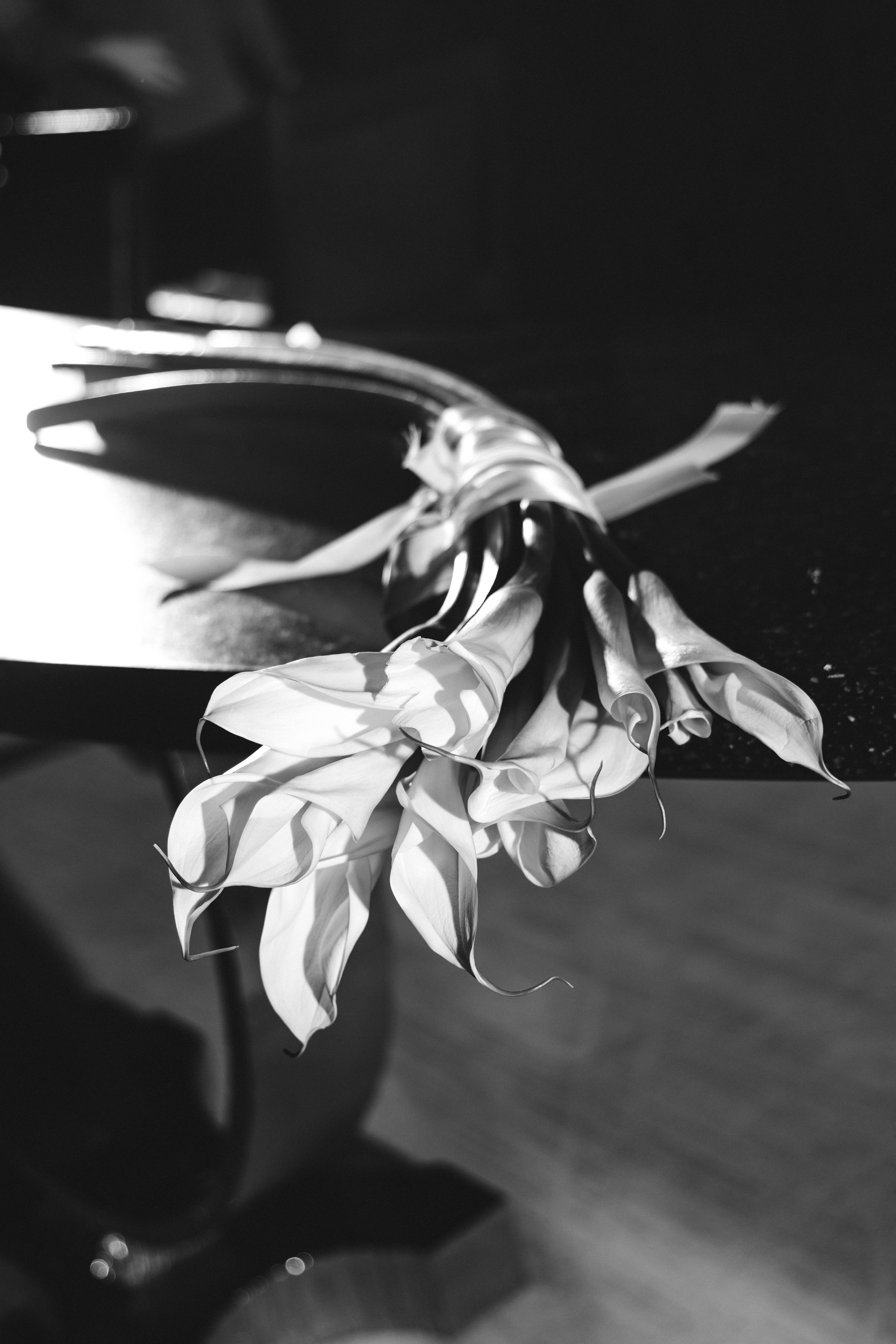 Ангелина и Никита. Портретный фотограф | Варвара Самсонова