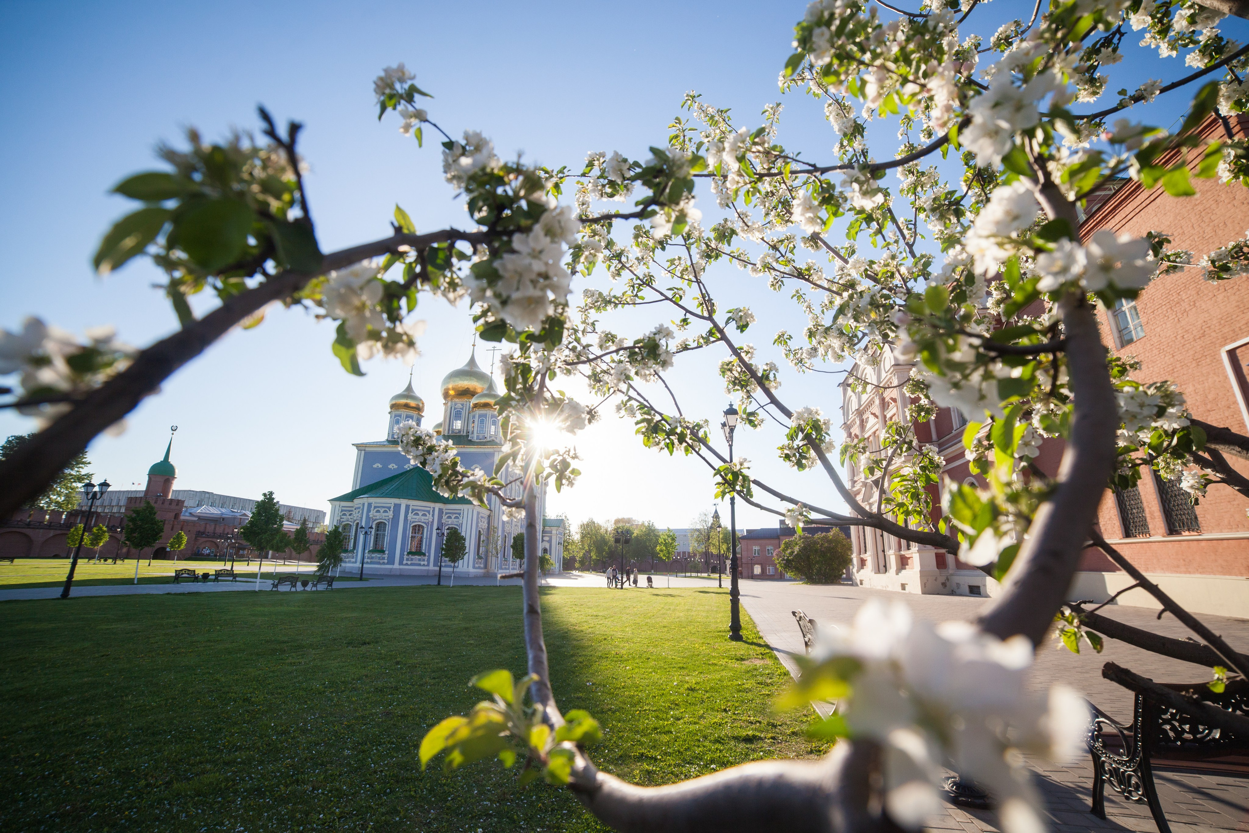 Тула. Репортажный фотограф Алексей Пирязев