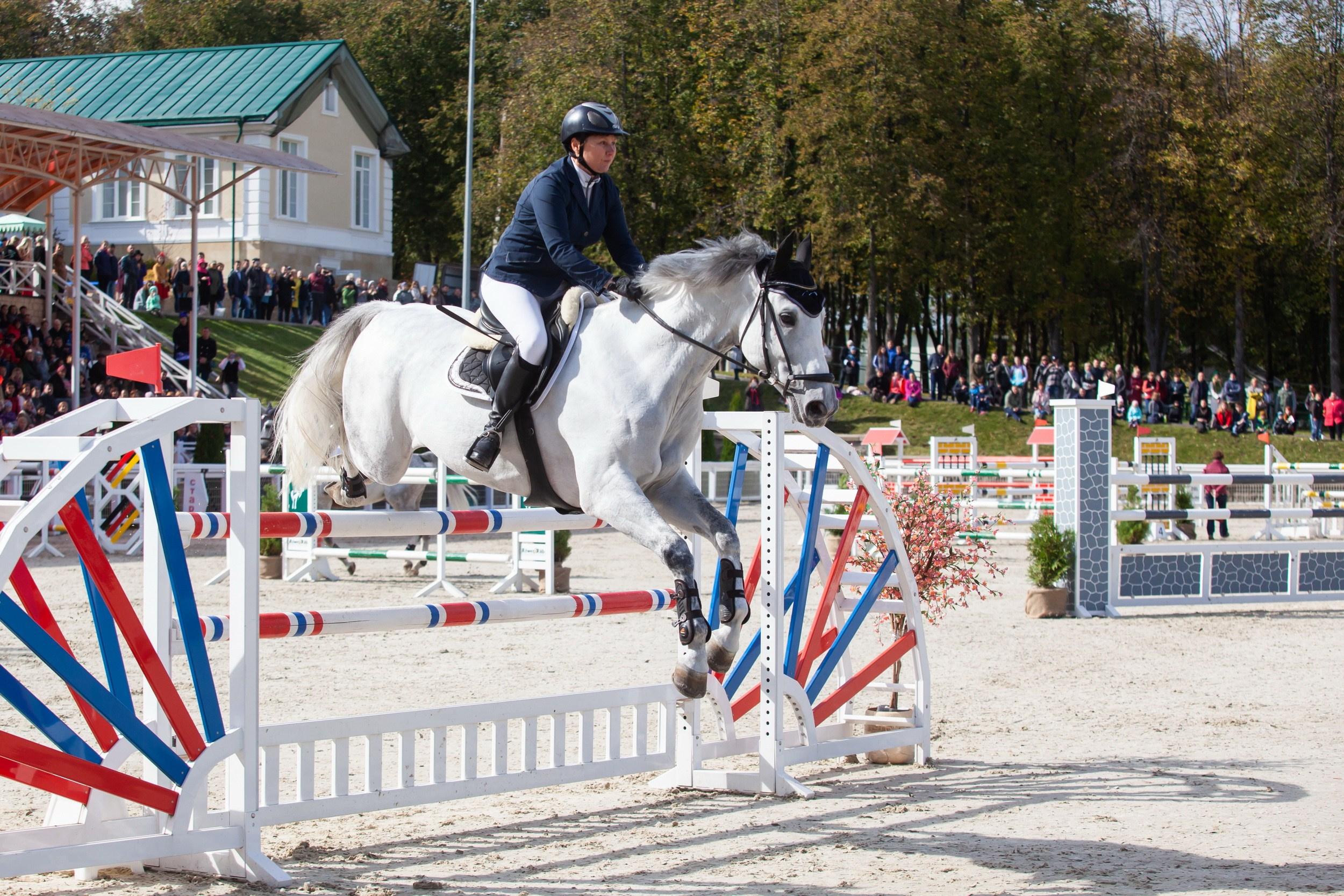 Кубок Губернатора по конкуру (21 сентября 2019). Репортажный фотограф Алексей Пирязев
