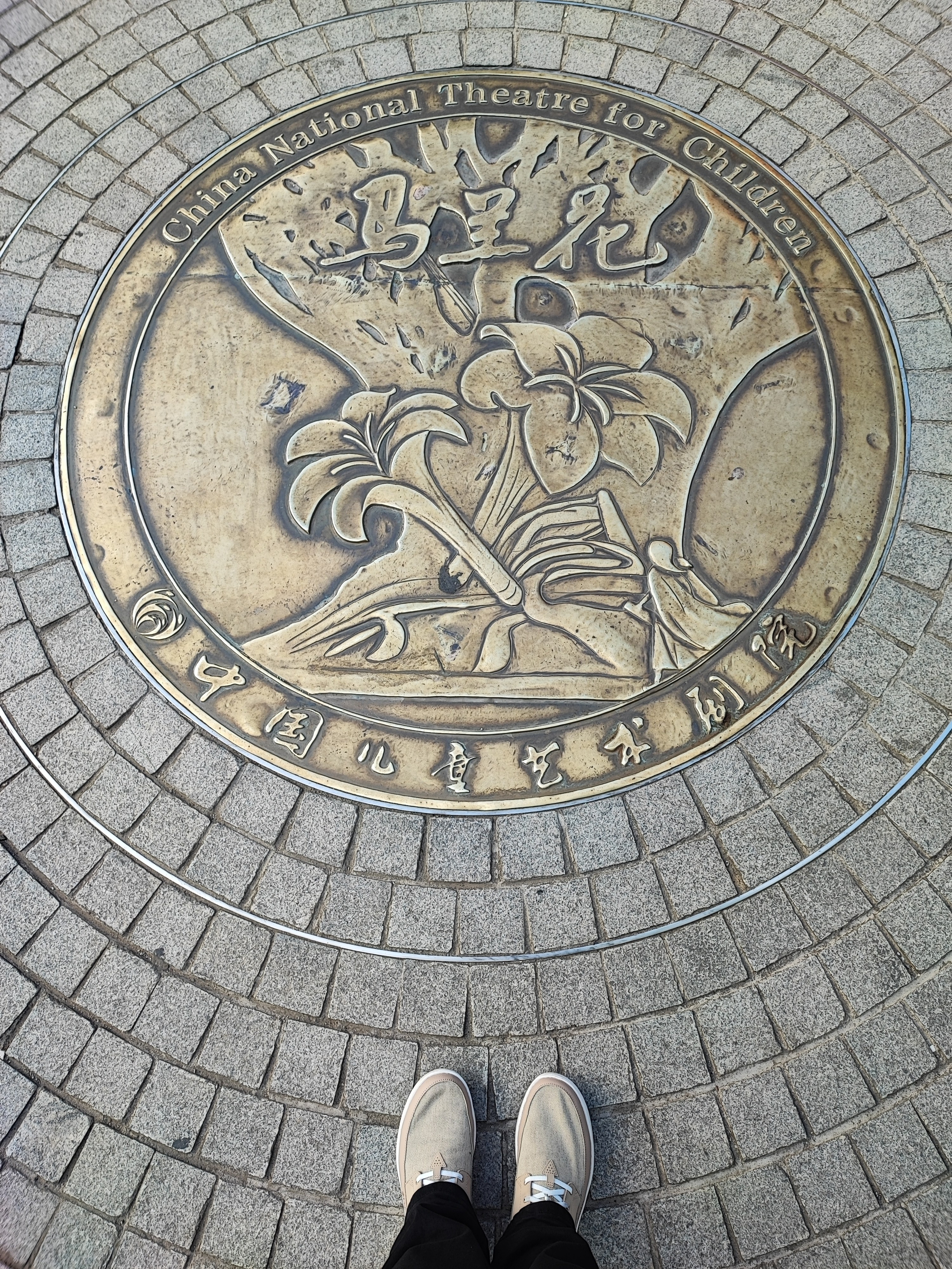 Намобилкус китайский. Репортажный фотограф Алексей Пирязев