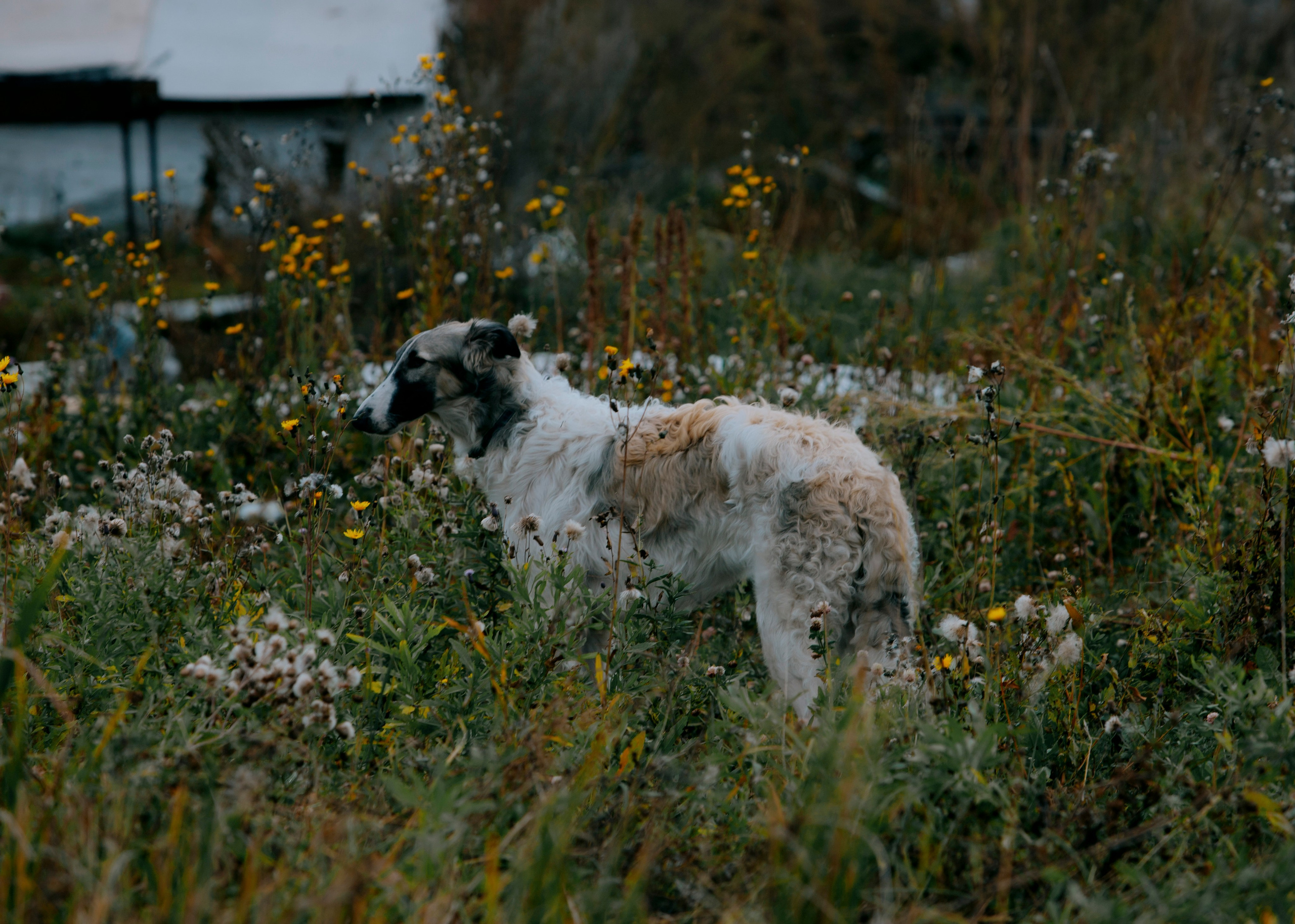 Квалификационные испытания. Сдача на шеврон «Боевая Единица». Портретный фотограф в Москве Дарья Цезария