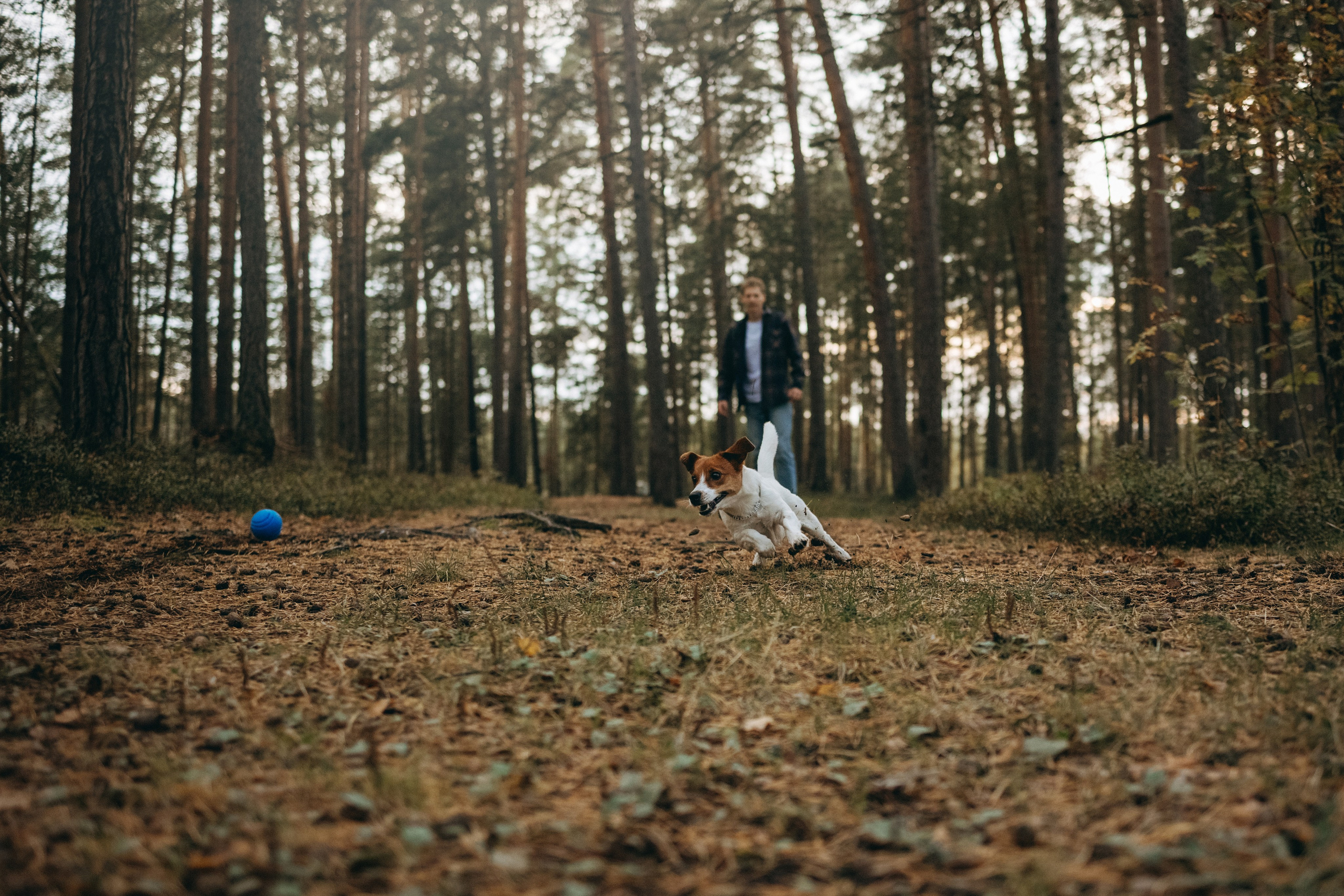 Лея и ее семья. Фотограф — Анималист | Санкт-Петербург