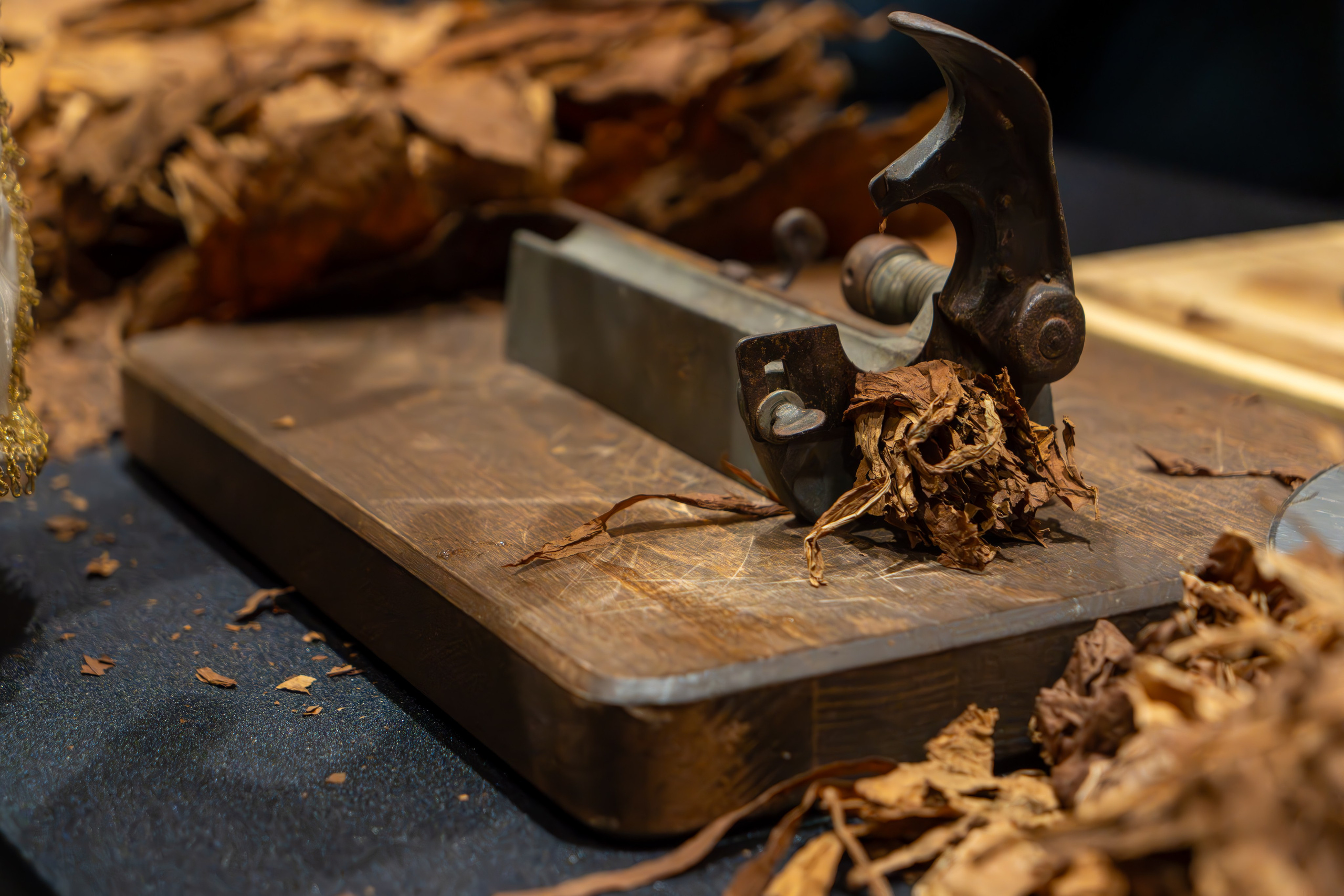 MICE мероприятие для компании «Базис». Репортажный фотограф в Красной Поляне и Сочи Павлюченко Екатерина